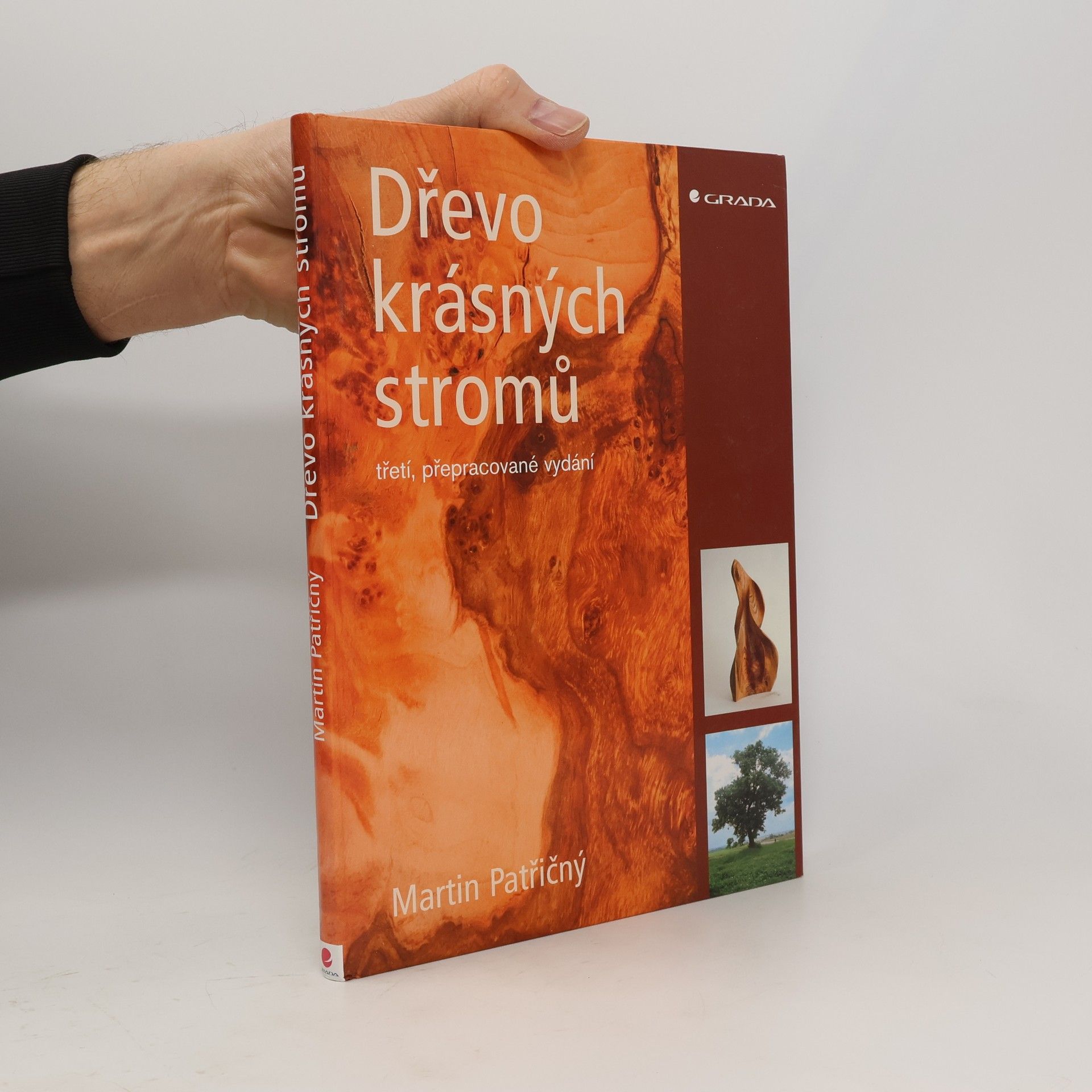 Martin Patřičný Dřevo krásných stromů