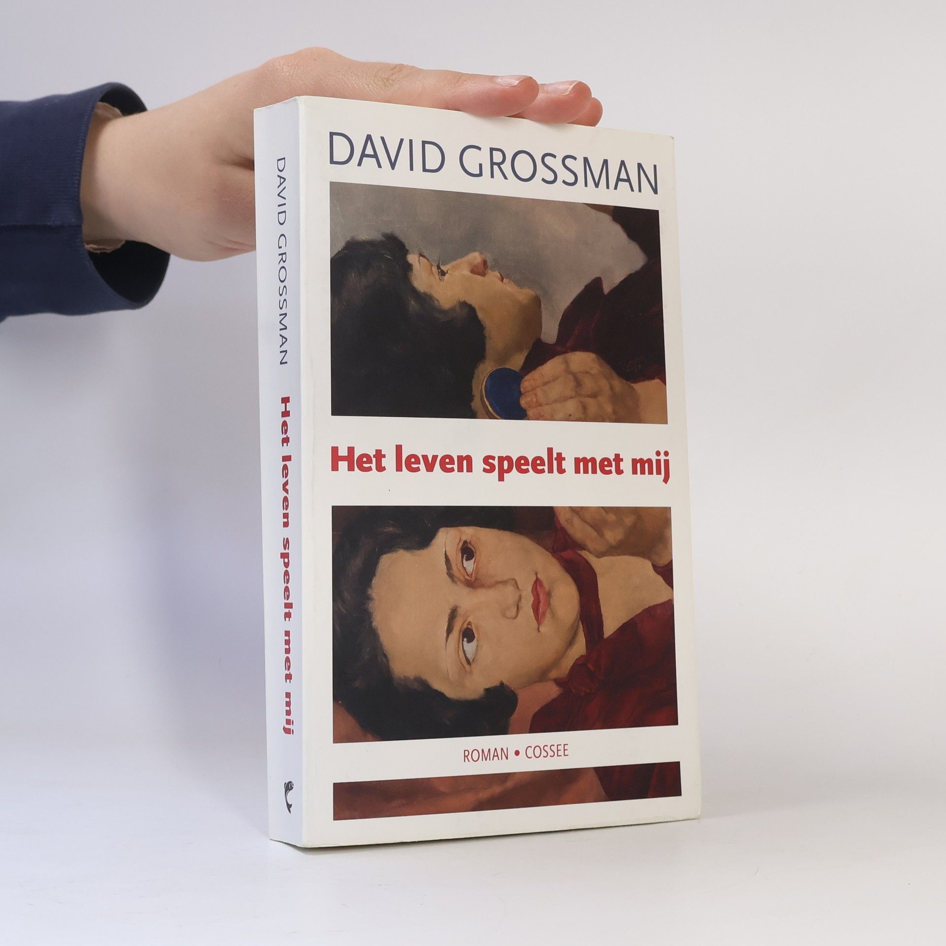 David Grossman Het leven speelt met mij