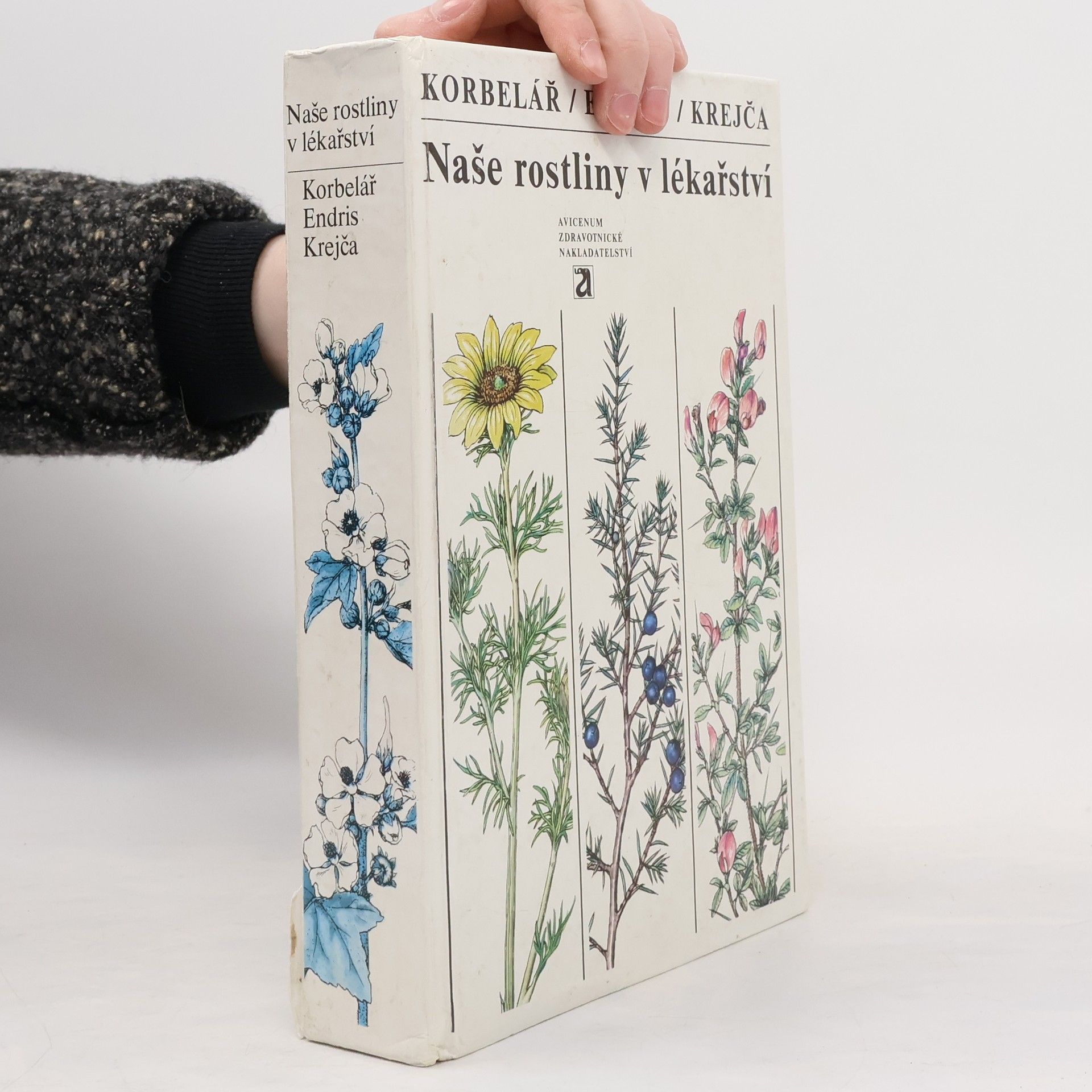Jaroslav Korbelář Naše rostliny v lékařství