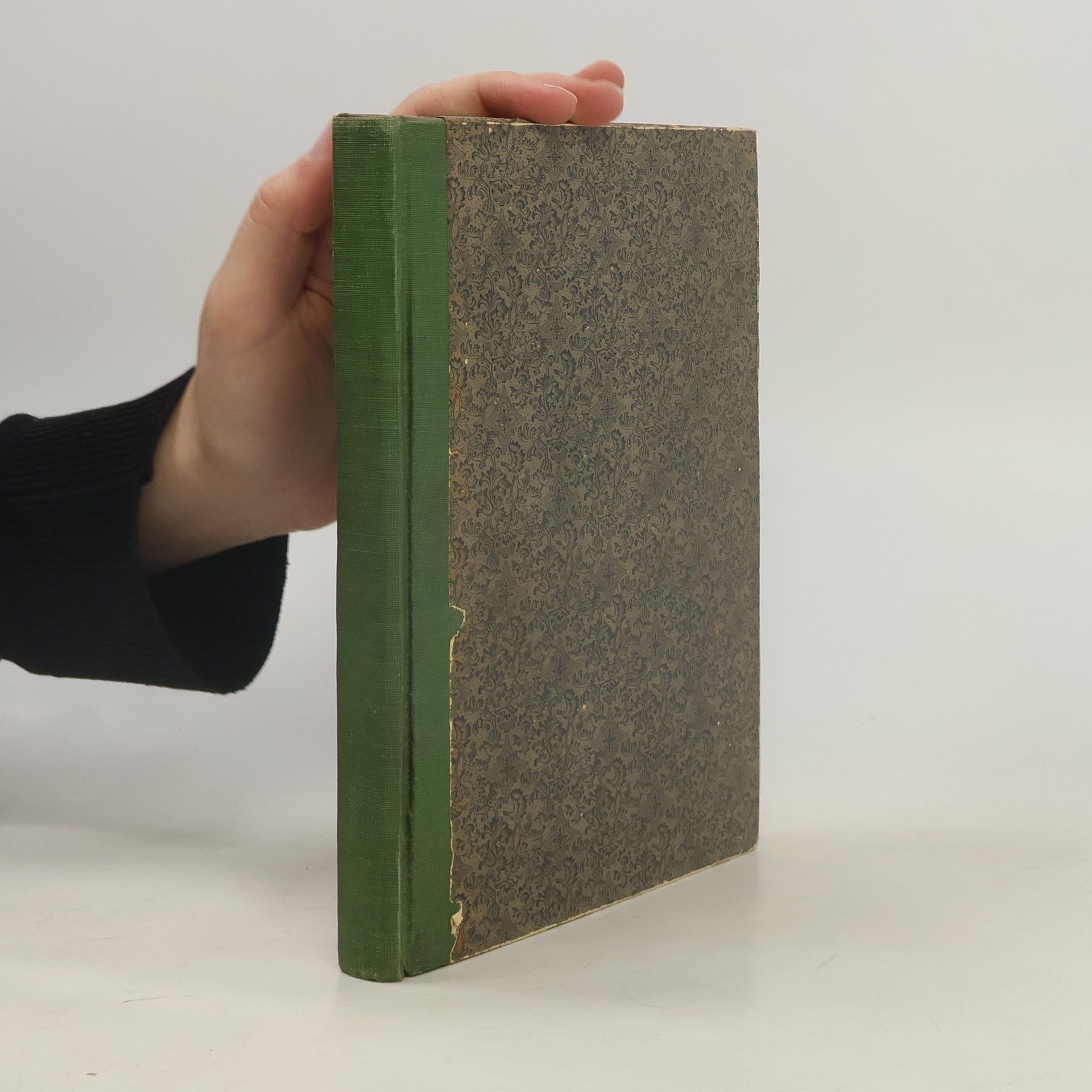 Vácslav Beneš Třebízský. Vybrané pohádky a pověsti