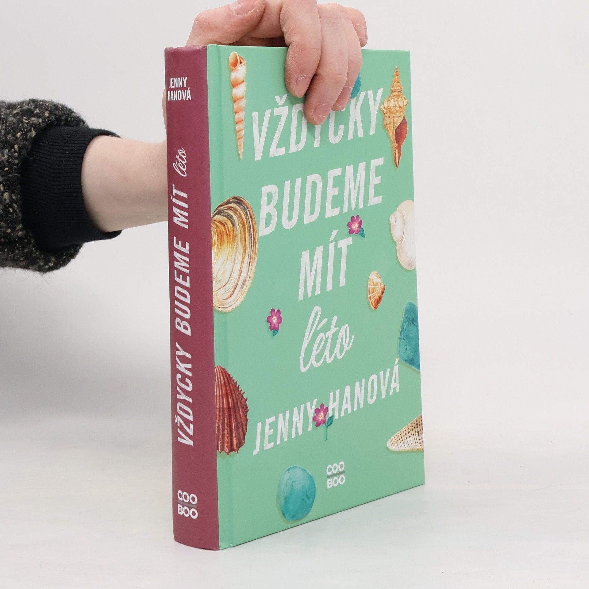 Jenny Han Vždycky budeme mít léto