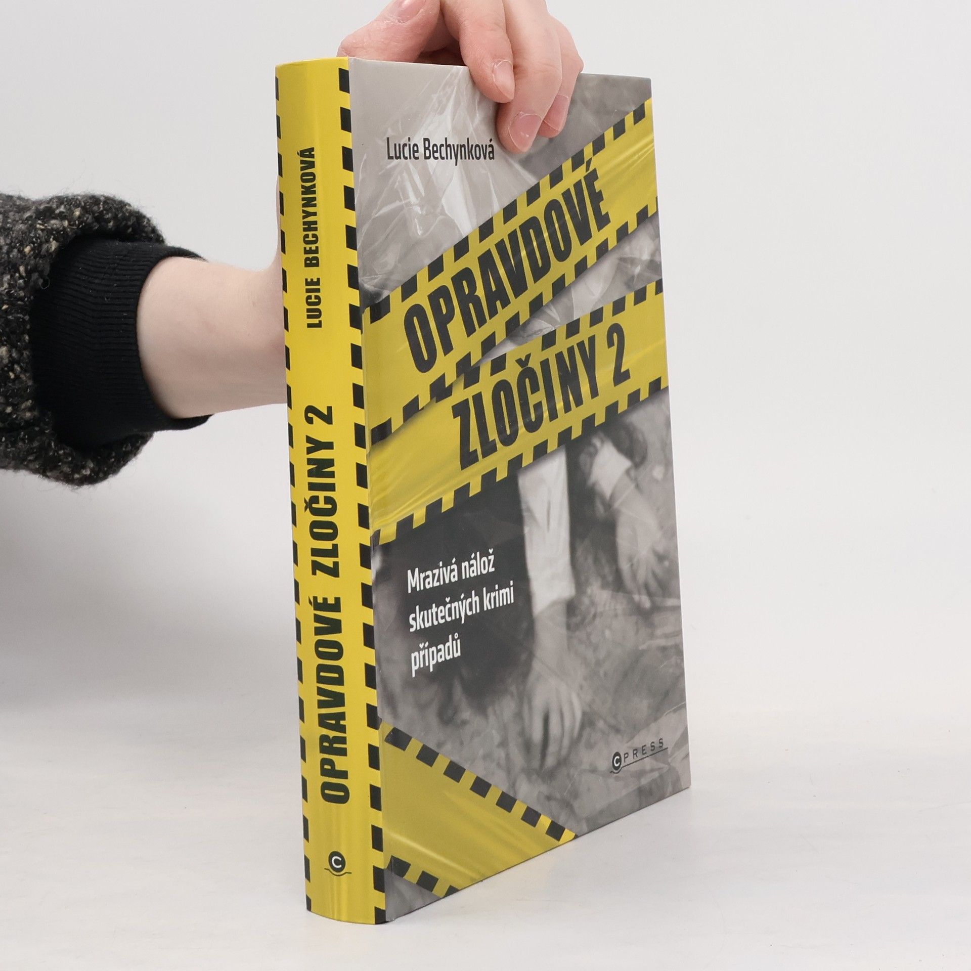 Opravdové zločiny 2