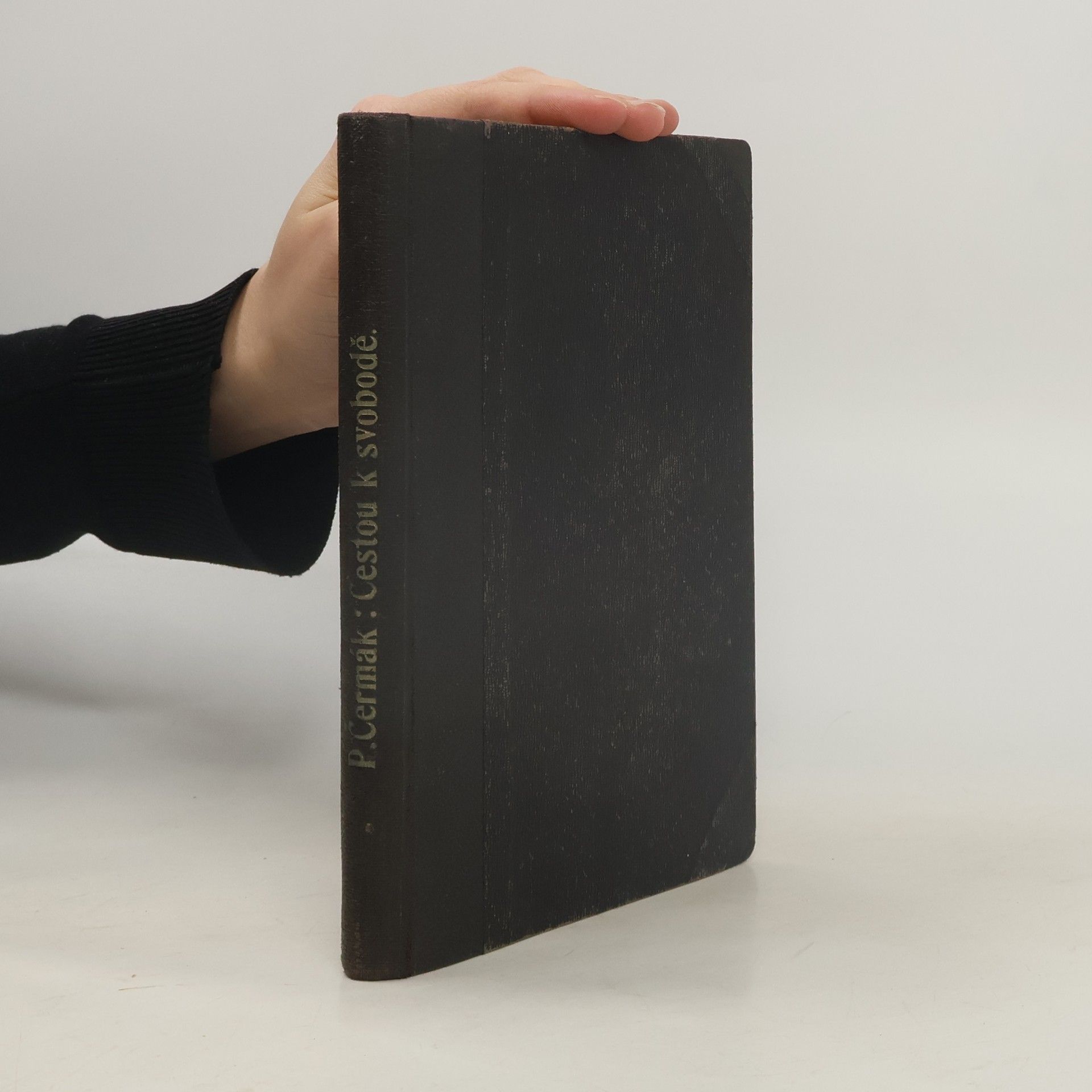 Pavel Čermák Cestou k svobodě