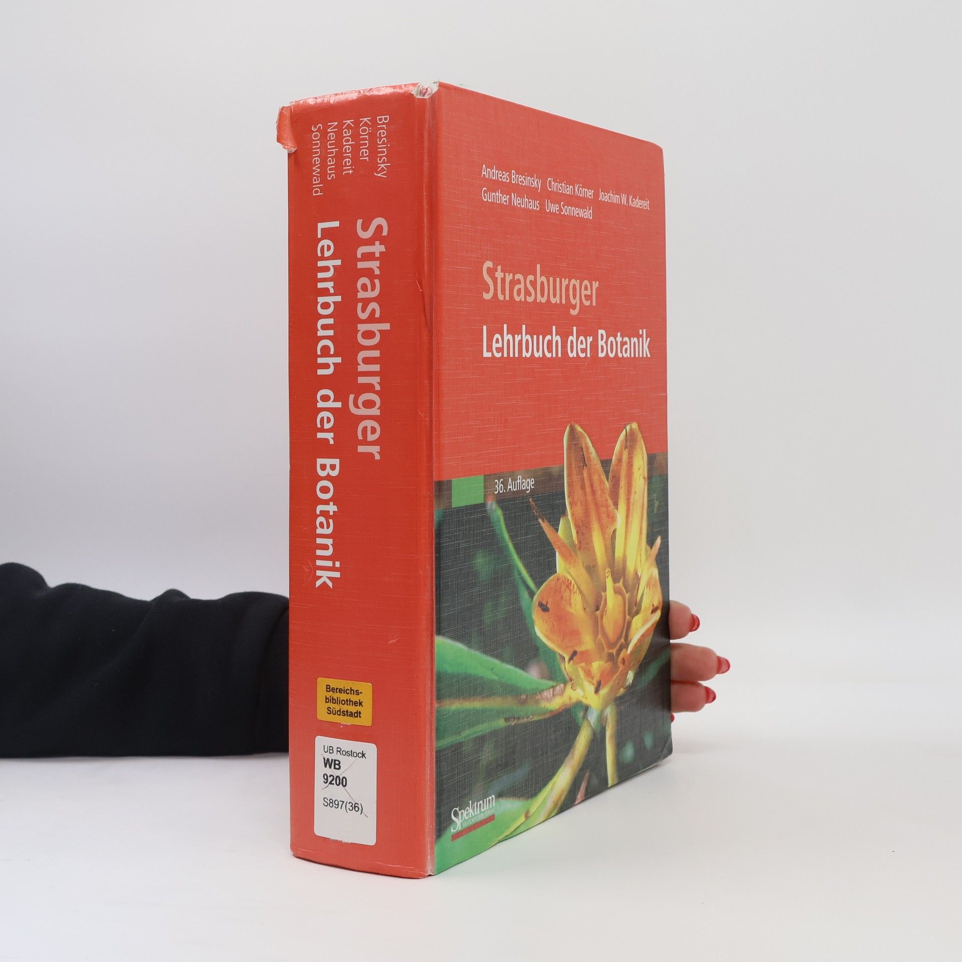 Gunther Neuhaus Lehrbuch der Botanik - 36. Auflage