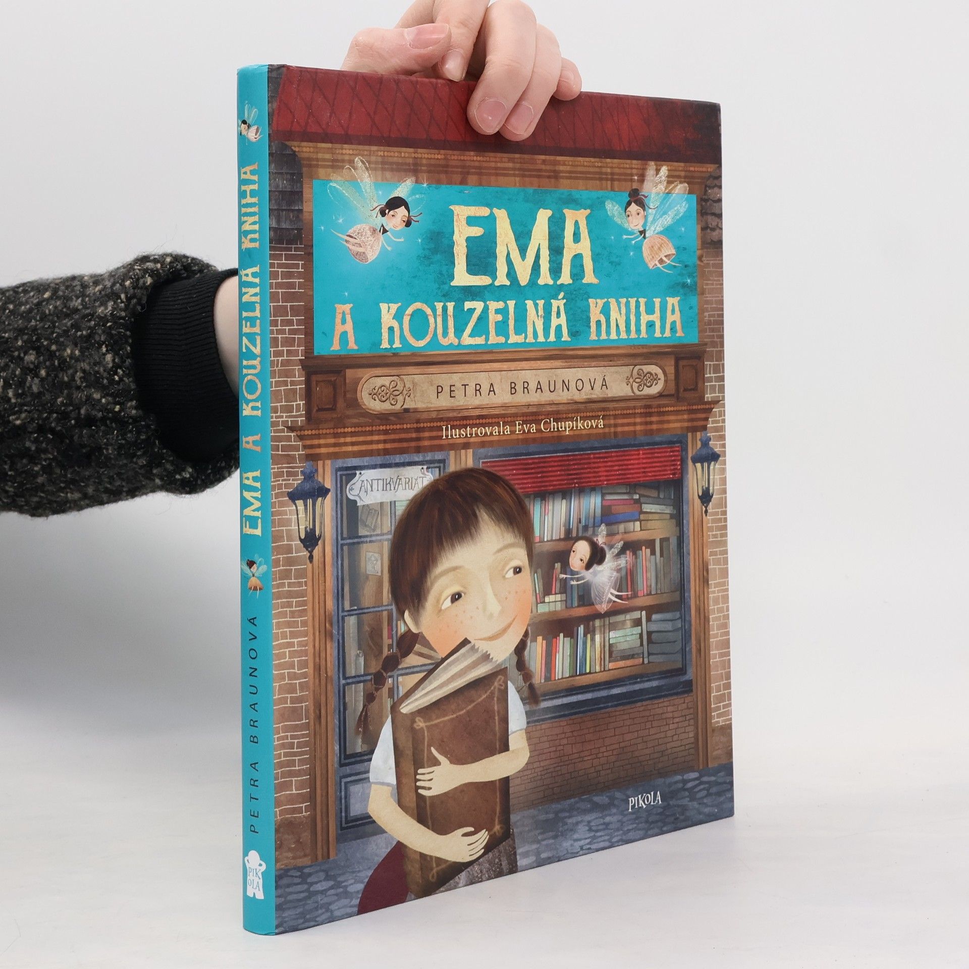 Petra Braun Groh Ema a kouzelná kniha