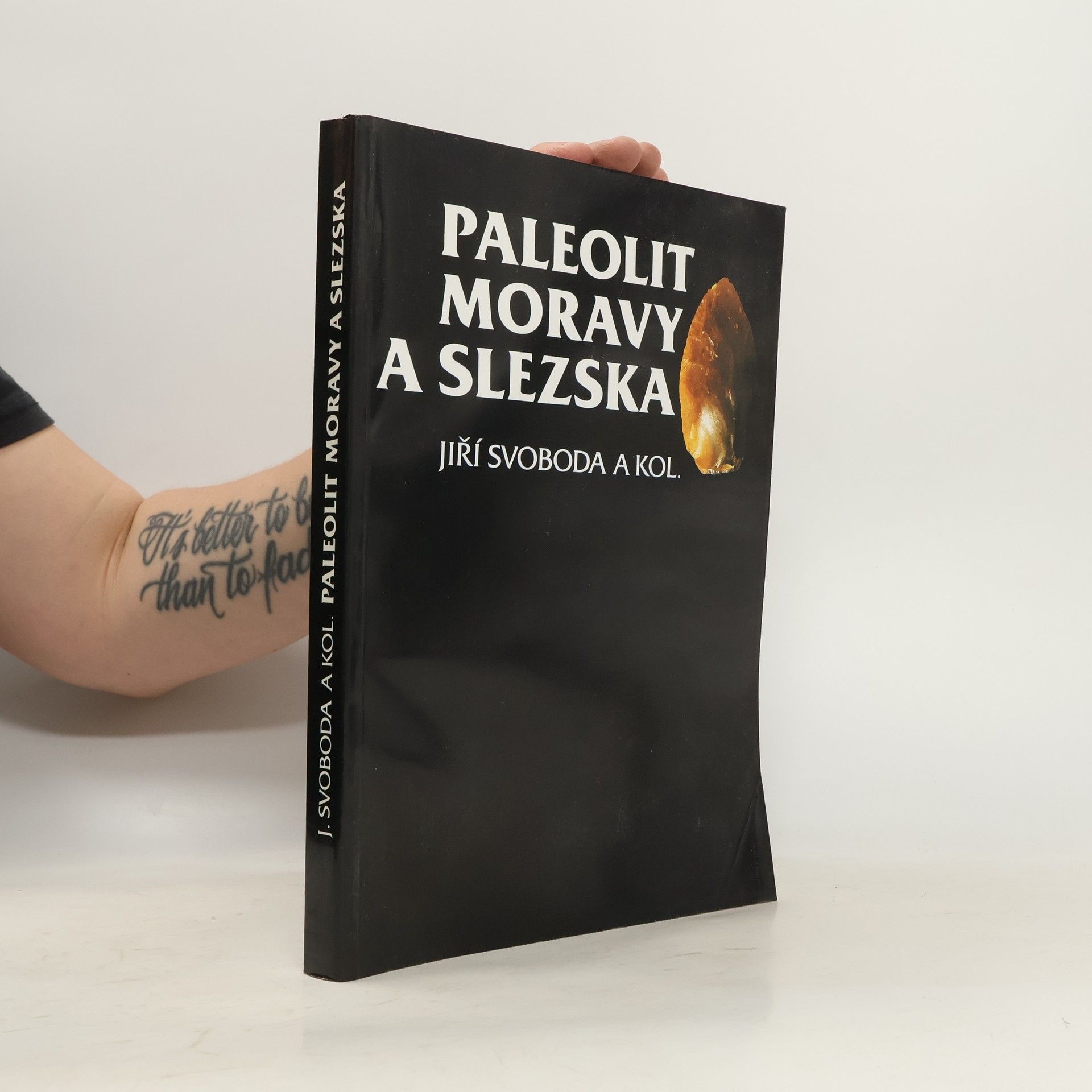 Jiří Svoboda Paleolit Moravy a Slezska
