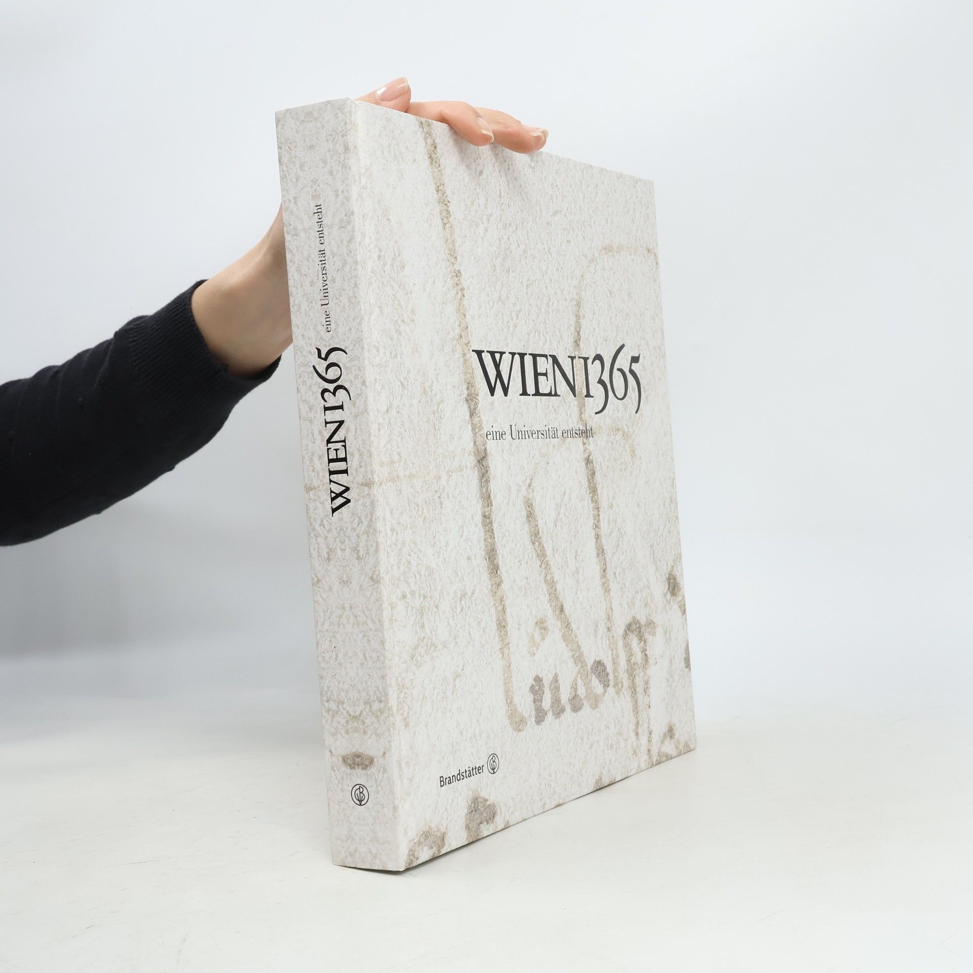 Autorenkollektiv Wien 1365: Eine Universität entsteht