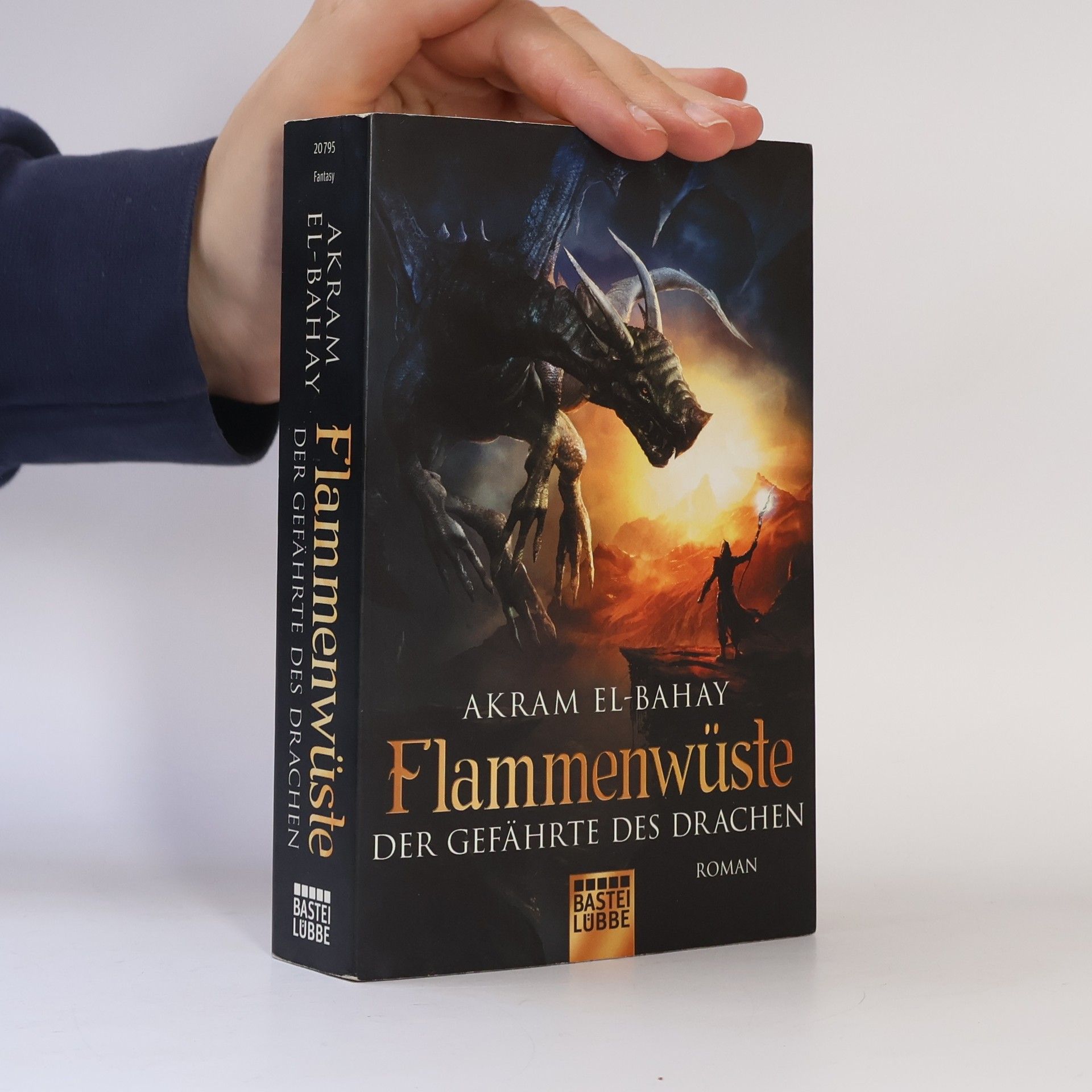 Akram El-Bahay Flammenwüste - der Gefährte des Drachen