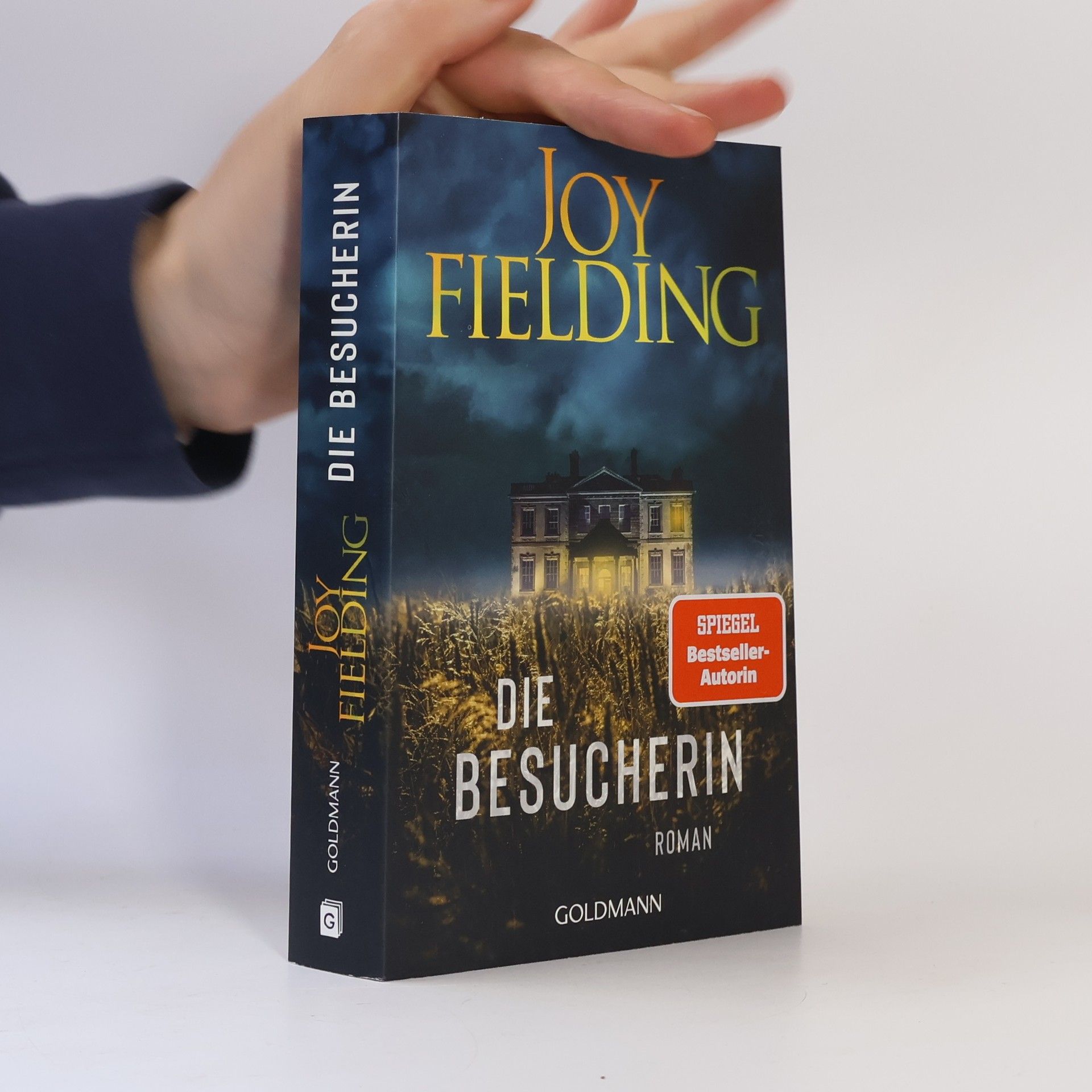 Joy Fielding Die Besucherin