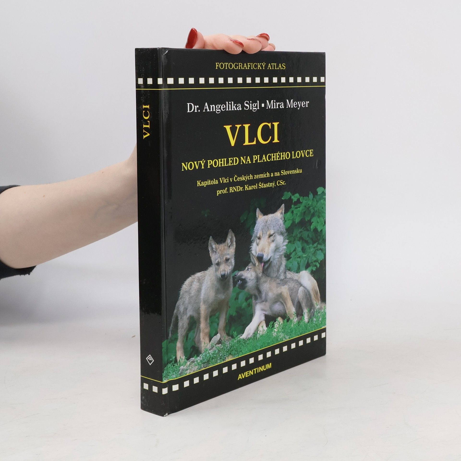 Mira Meyer Vlci. Nový pohled na plachého lovce