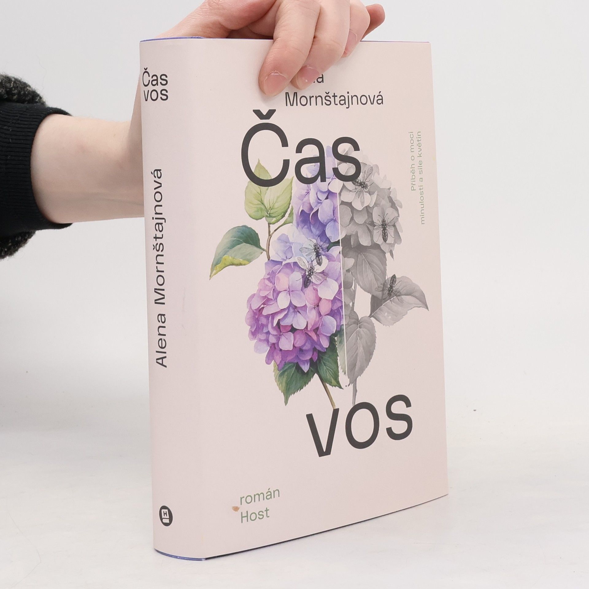 Alena Mornštajnová Čas vos