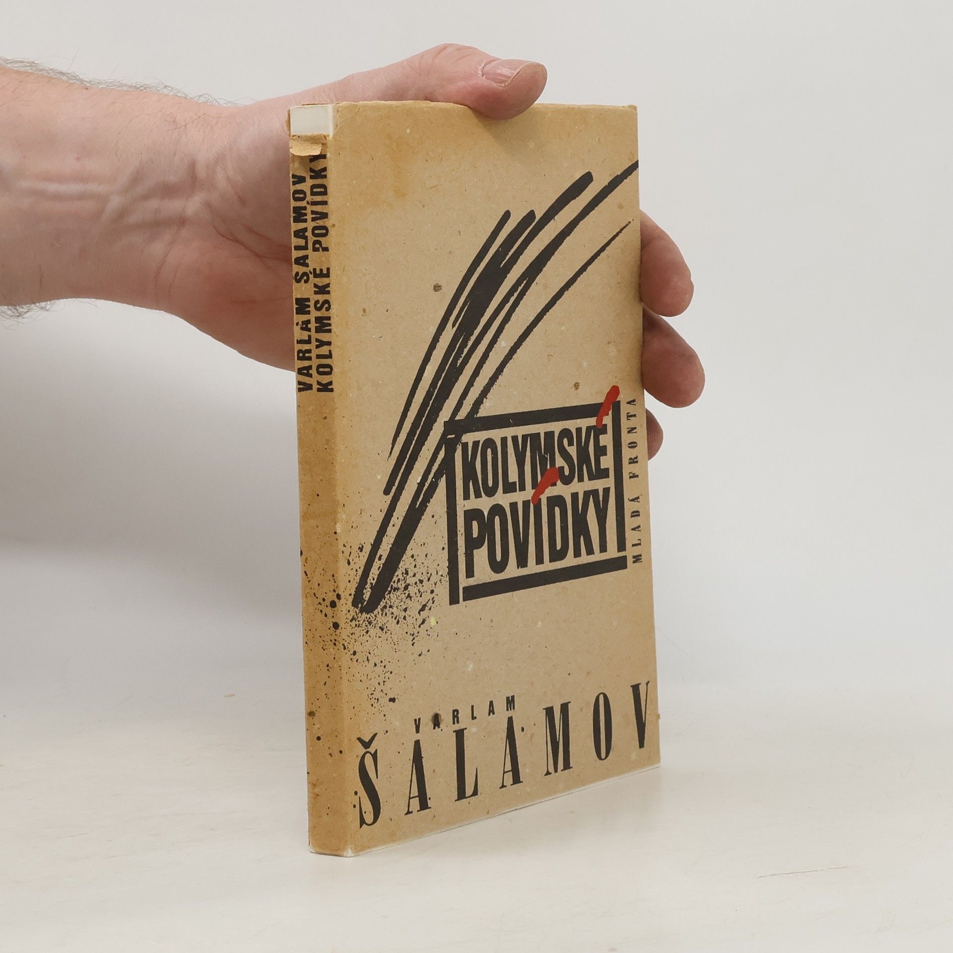 Varlam Tichonovič Šalamov Kolymské povídky