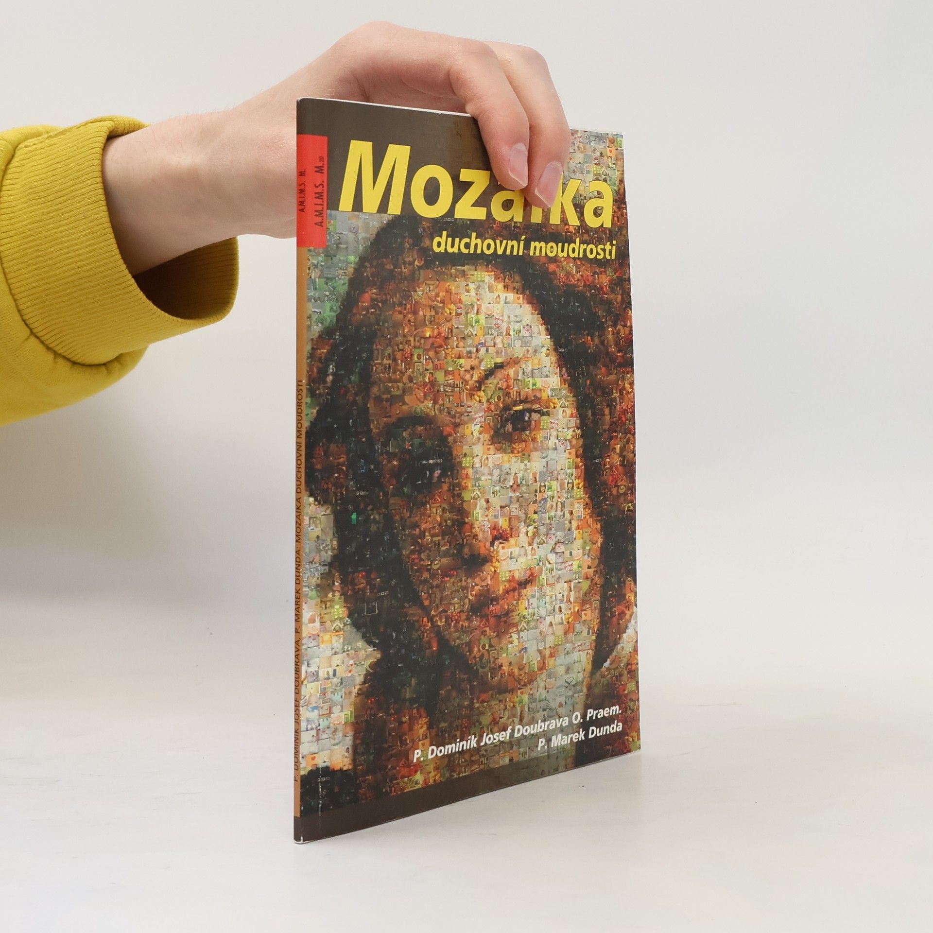 Autorenkollektiv Mozaika duchovní moudrosti.