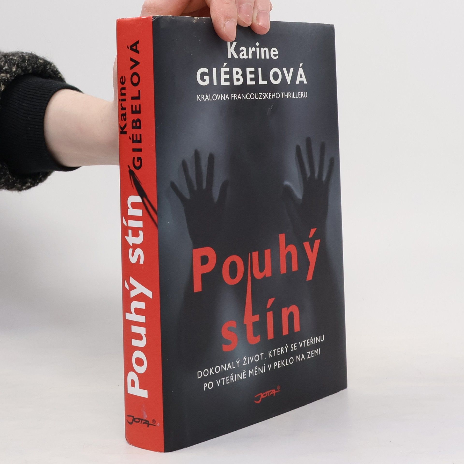 Karine Giebel Pouhý stín