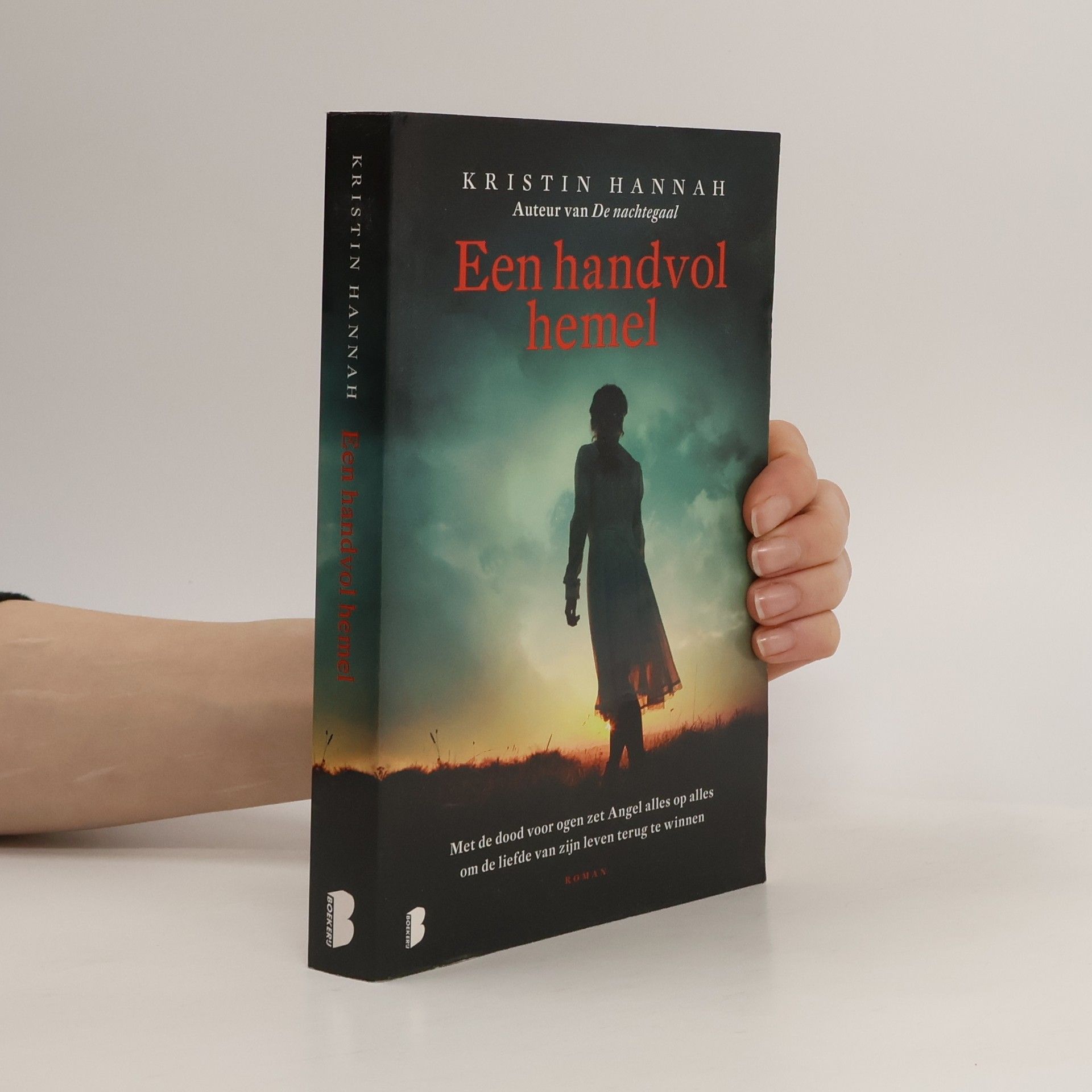 Kristin Hannah Een handvol hemel