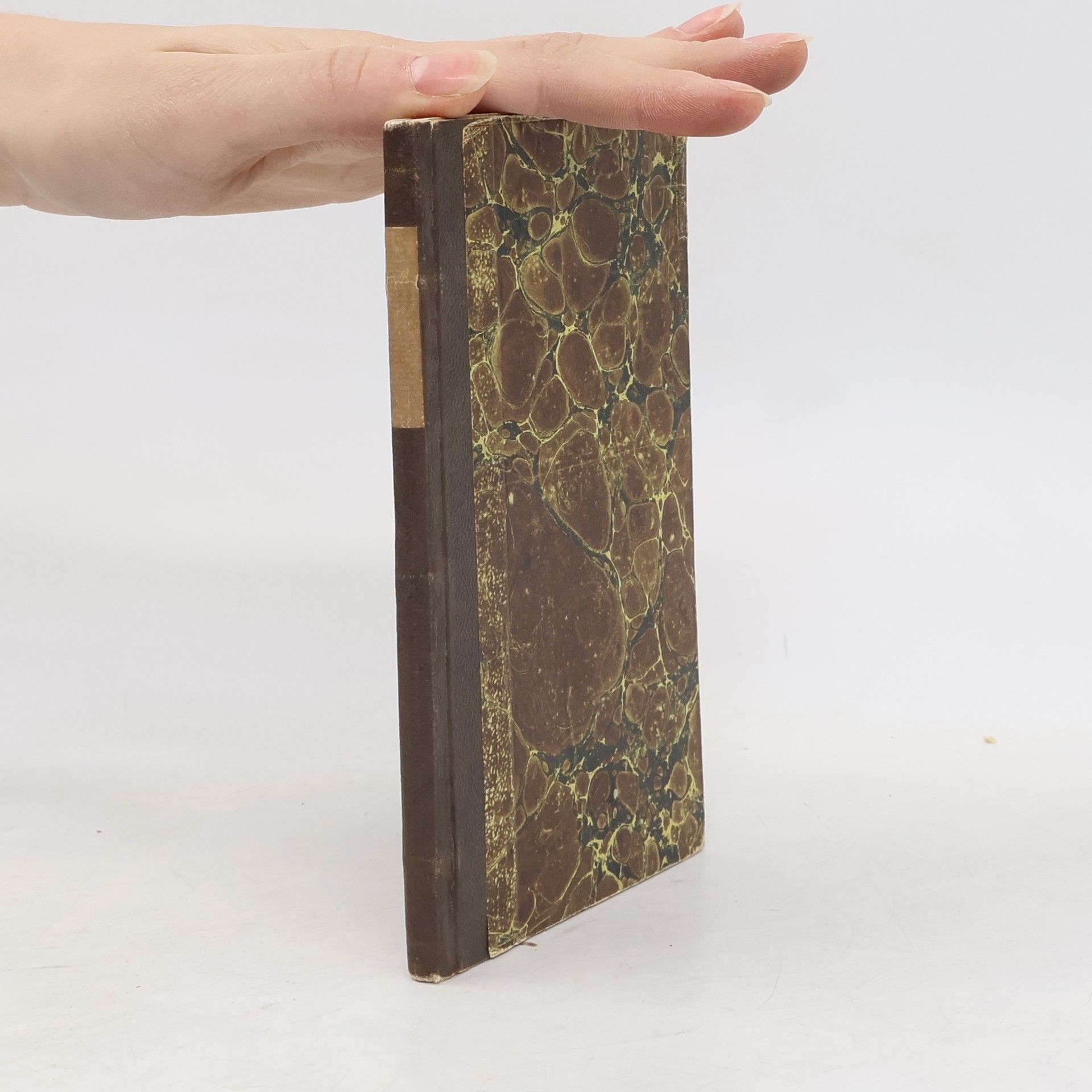 Kolektiv autorů Spaziergänge