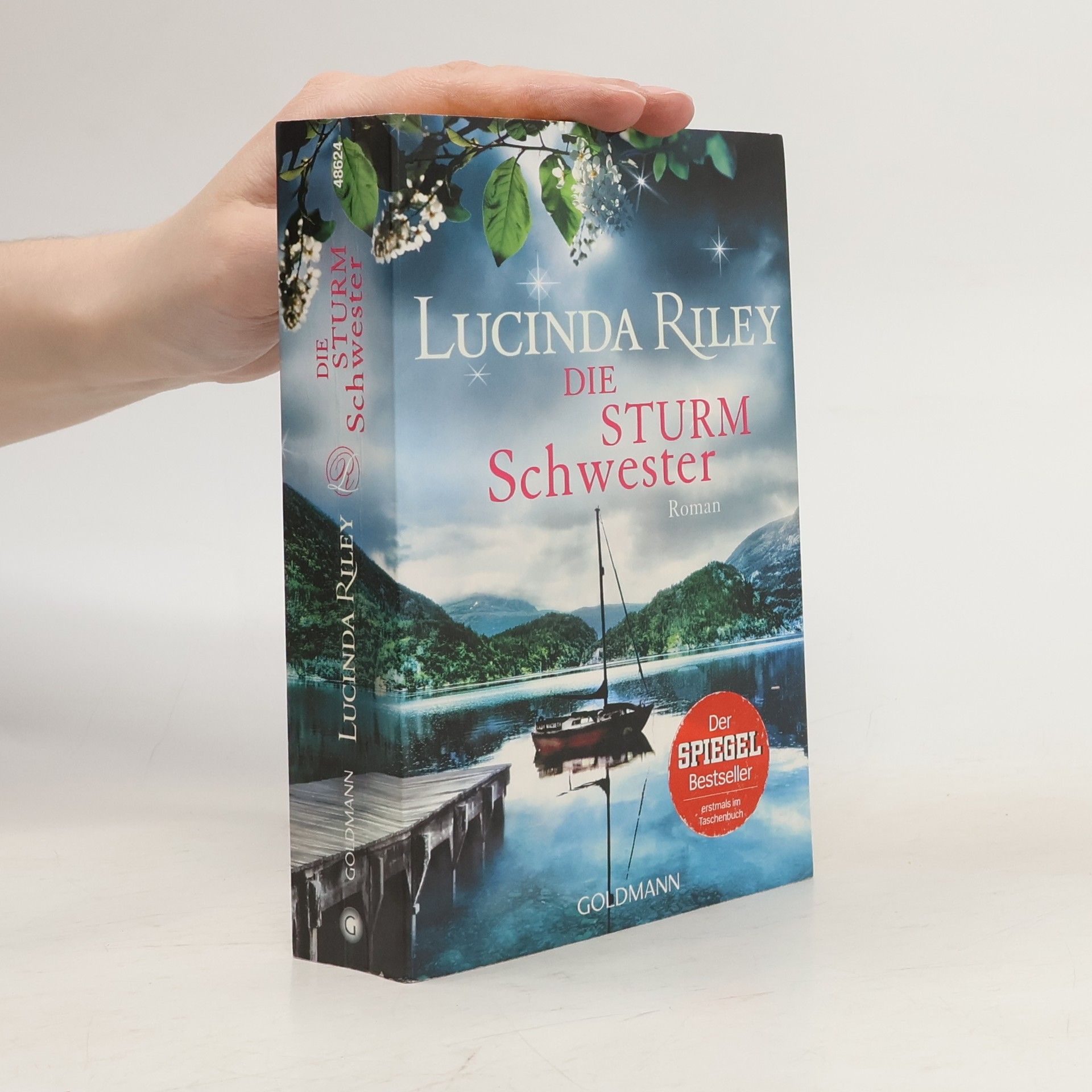 Lucinda Riley Die Sturmschwester