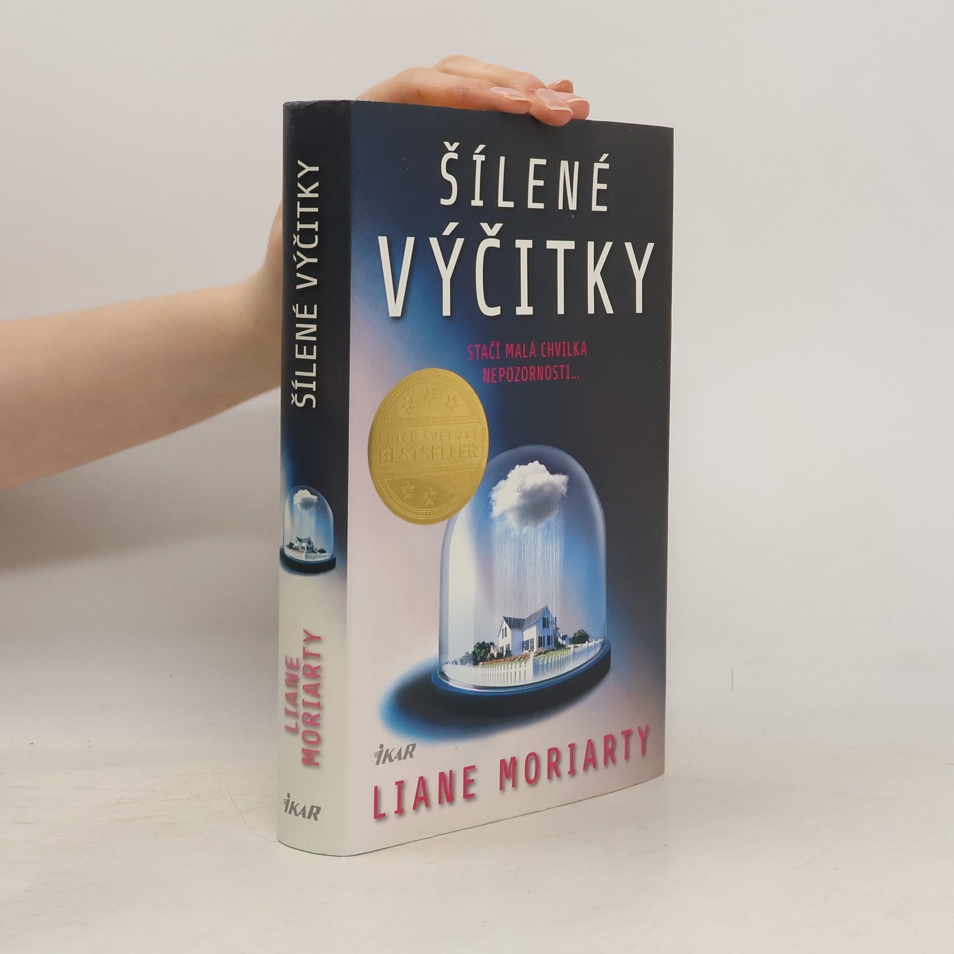 Liane Moriarty Šílené výčitky