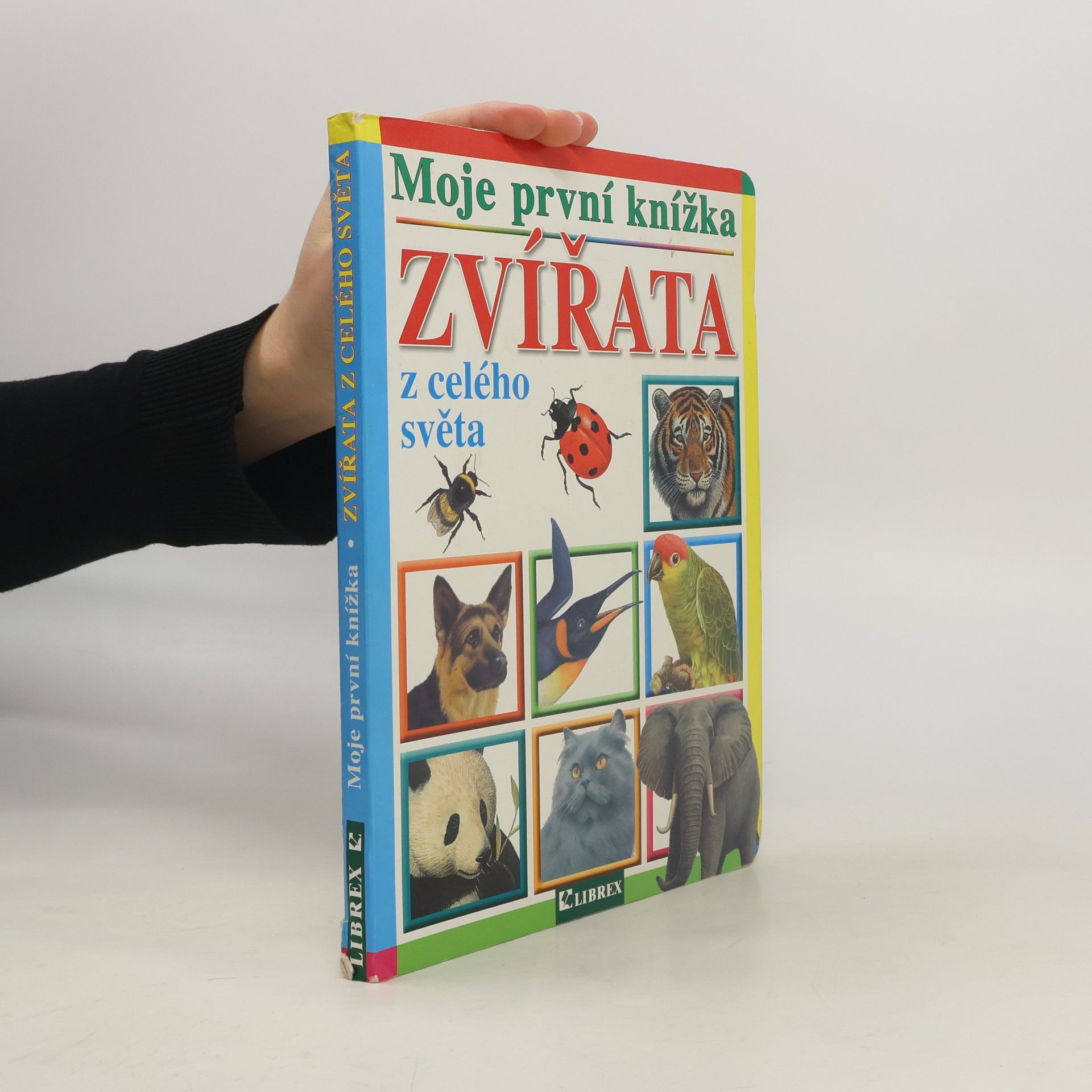 Autorenkollektiv Zvířata z celého světa