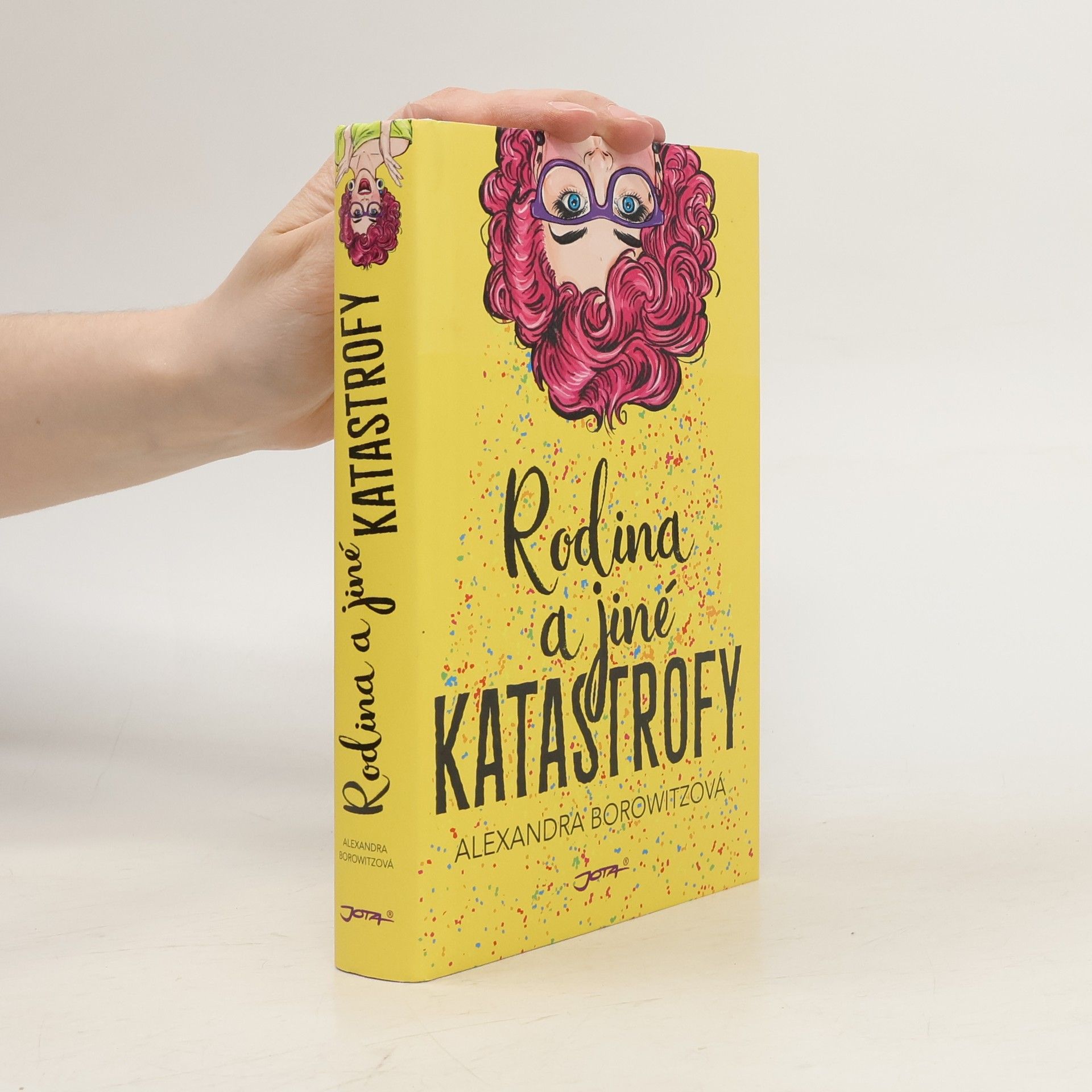 Rodina a jiné katastrofy