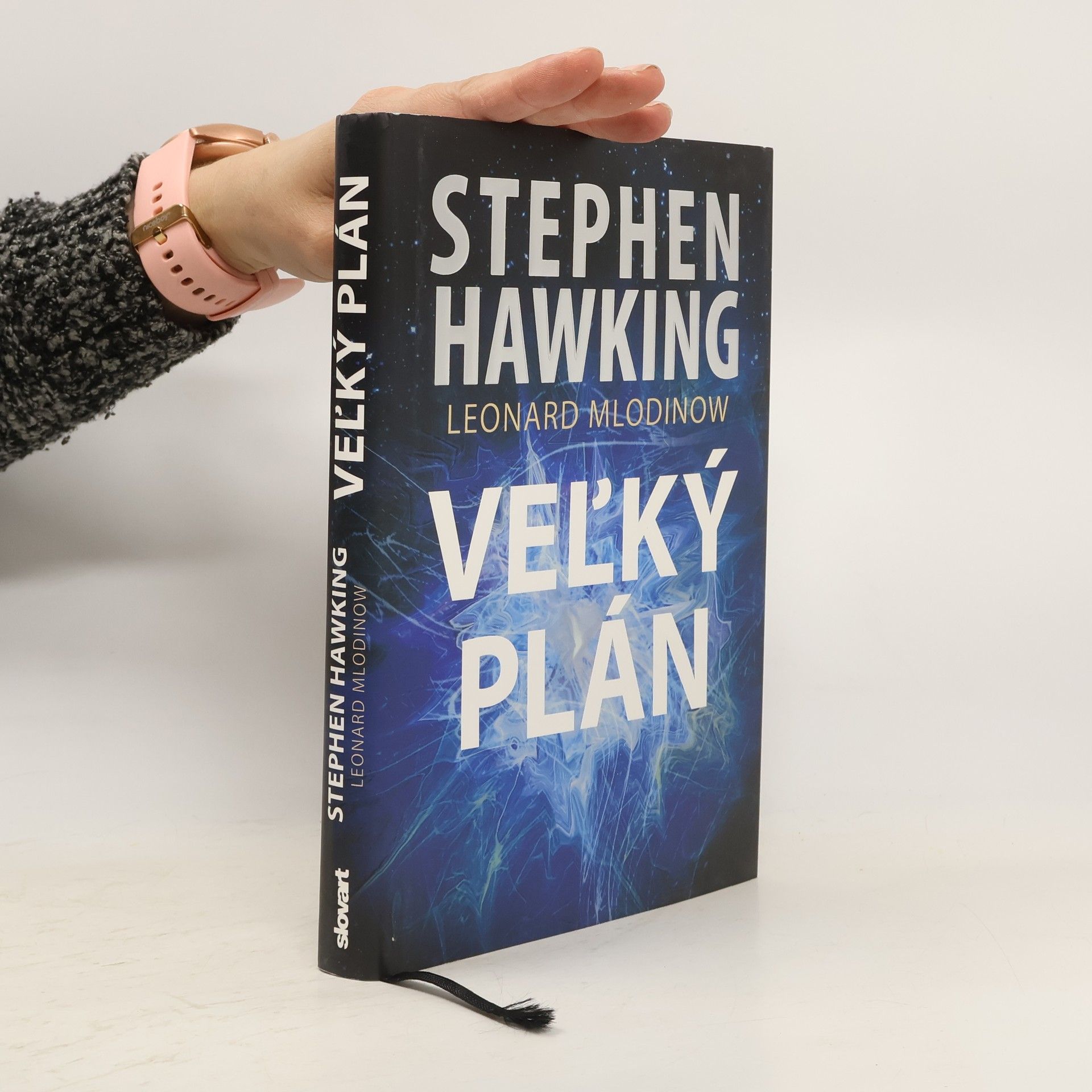 Stephen Hawking Veľký plán