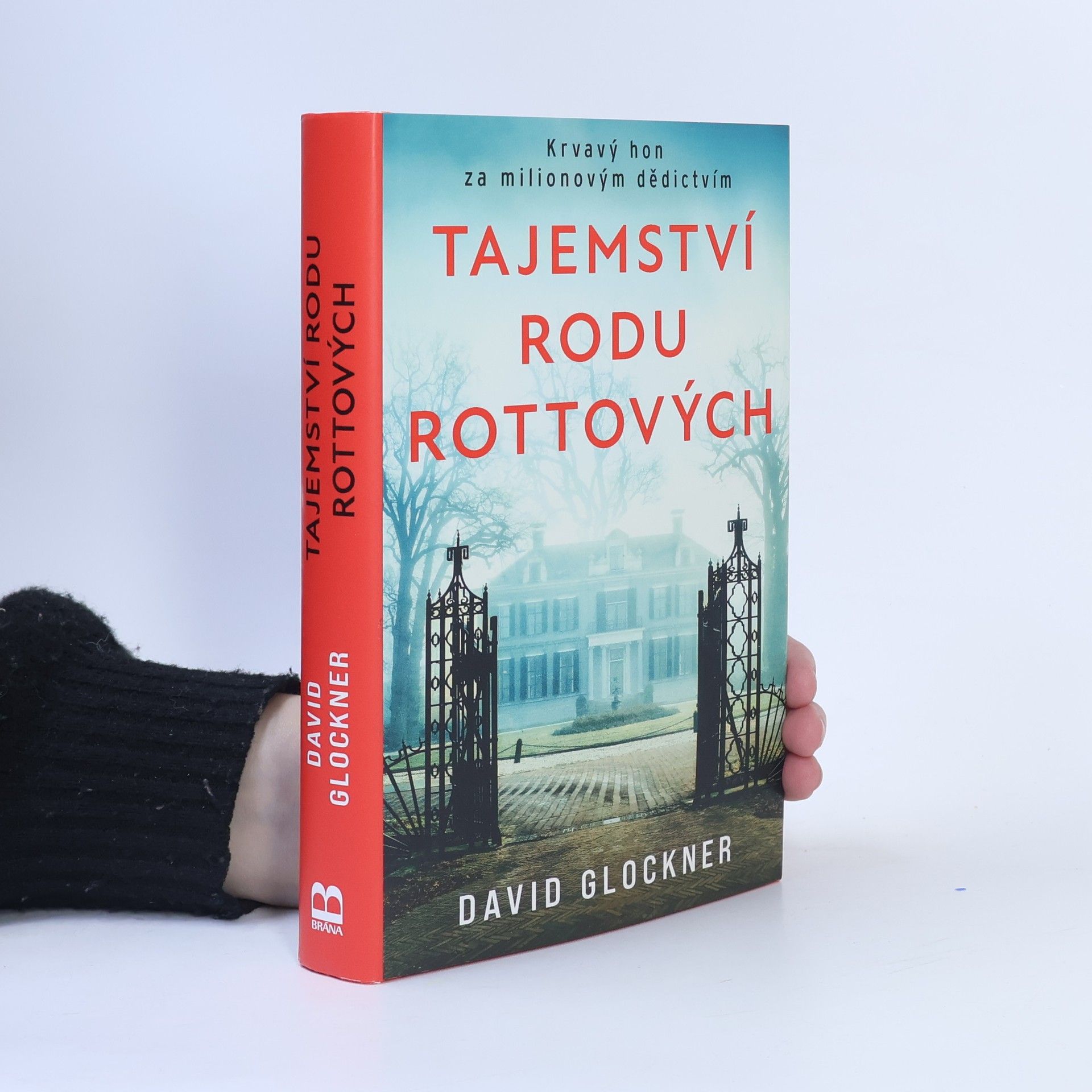 David Glockner Tajemství rodu Rottových