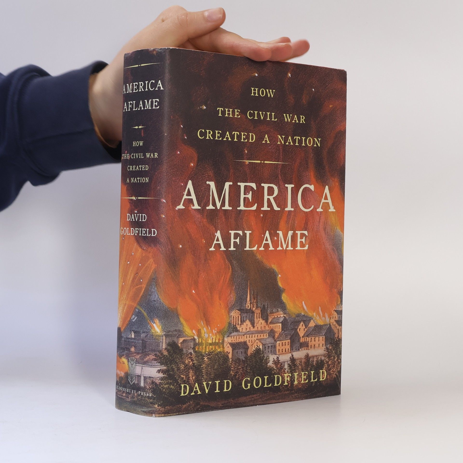 David R. Goldfield America Aflame