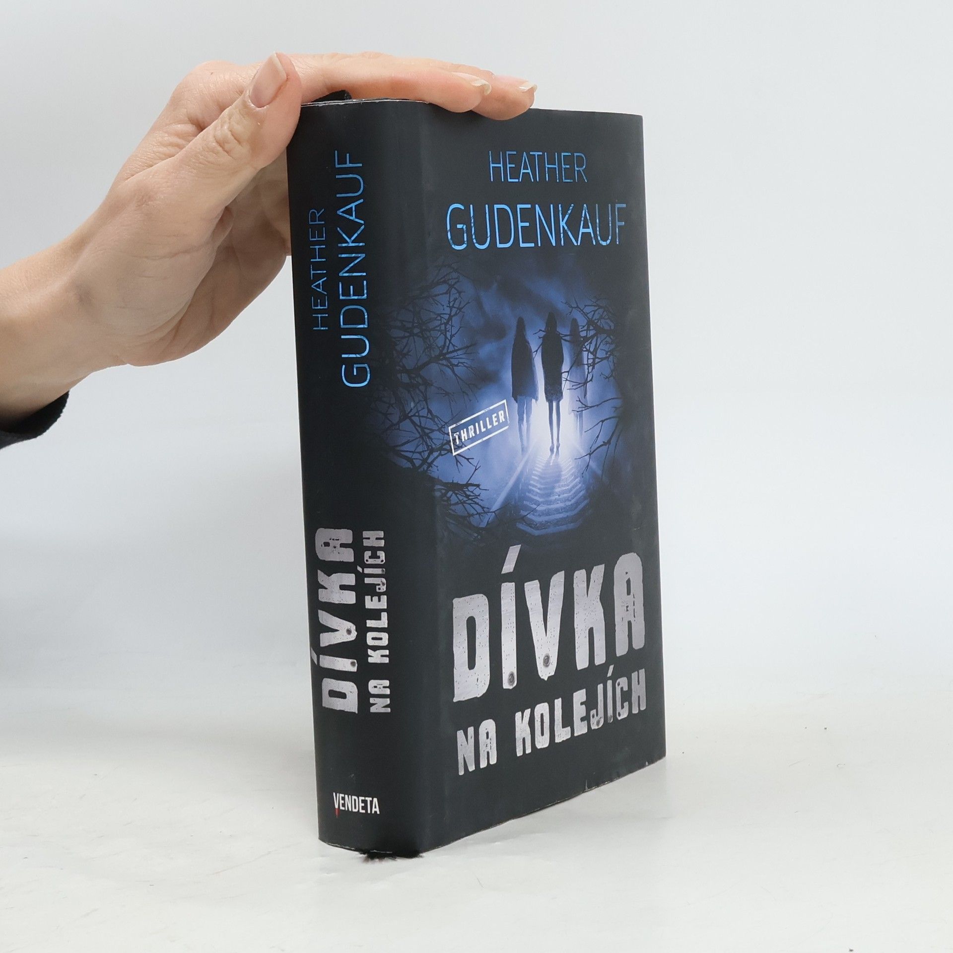 Heather Gudenkauf Dívka na kolejích