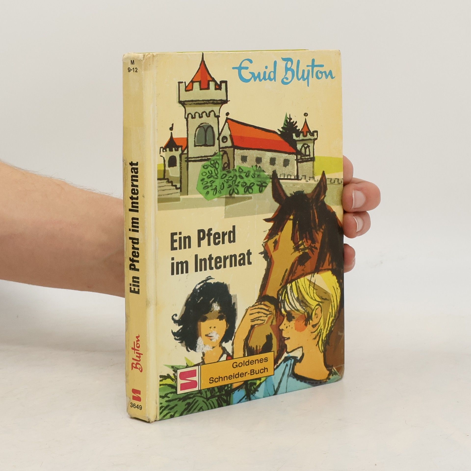Enid Blyton Dolly Ein Pferd Im Internat