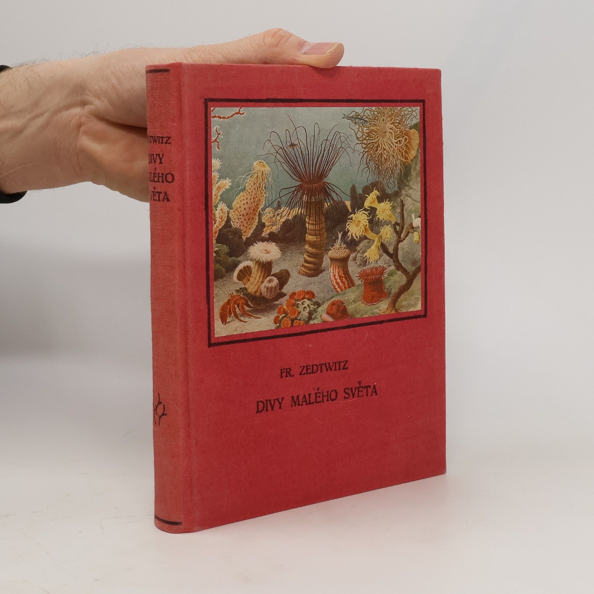 Franz Xaver Graf Zedtwitz Divy malého světa