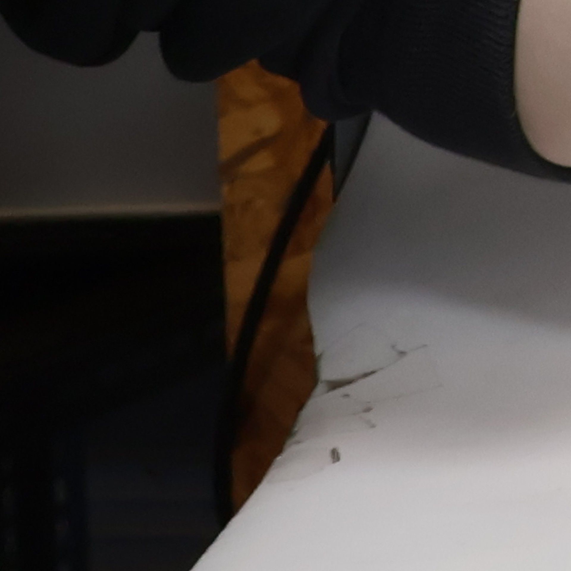 Juliette Vasterman Kunnen muggen dronken worden?