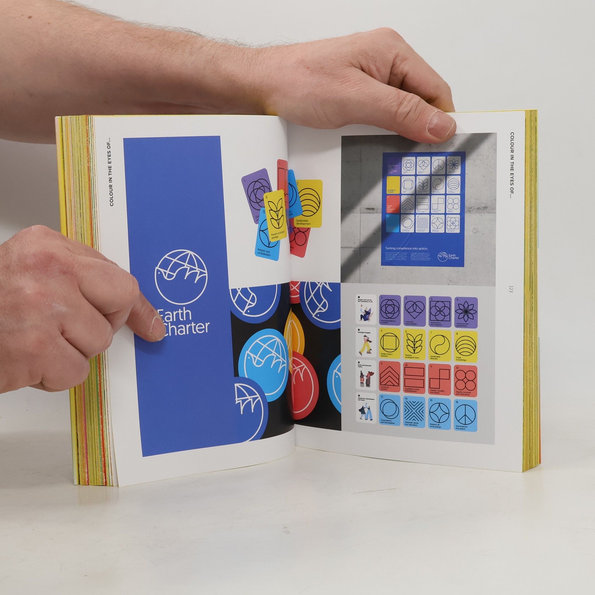 Sara Caldas Palette Perfect for Graphic Designers and Illustrators