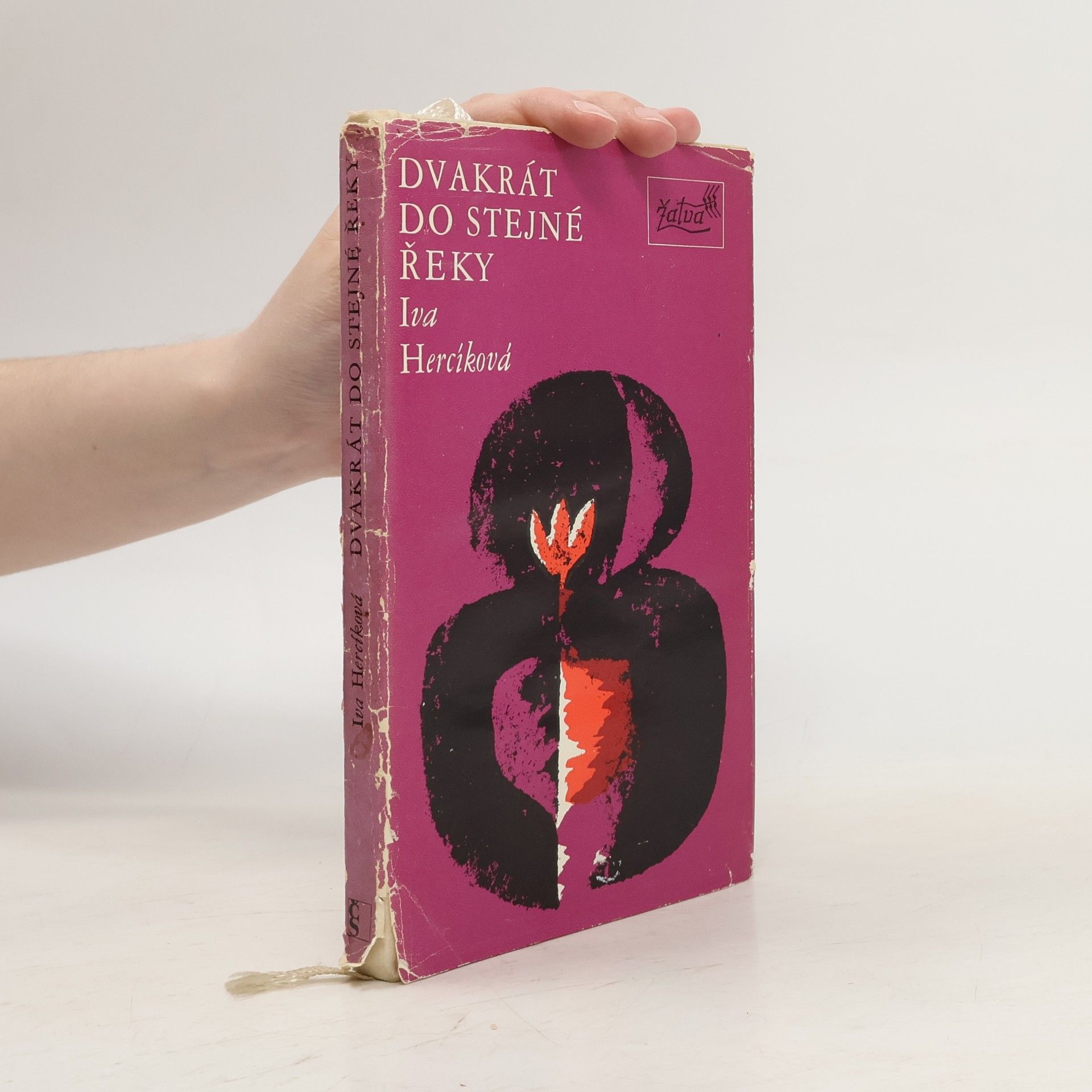 Iva Hercíková Dvakrát do stejné řeky