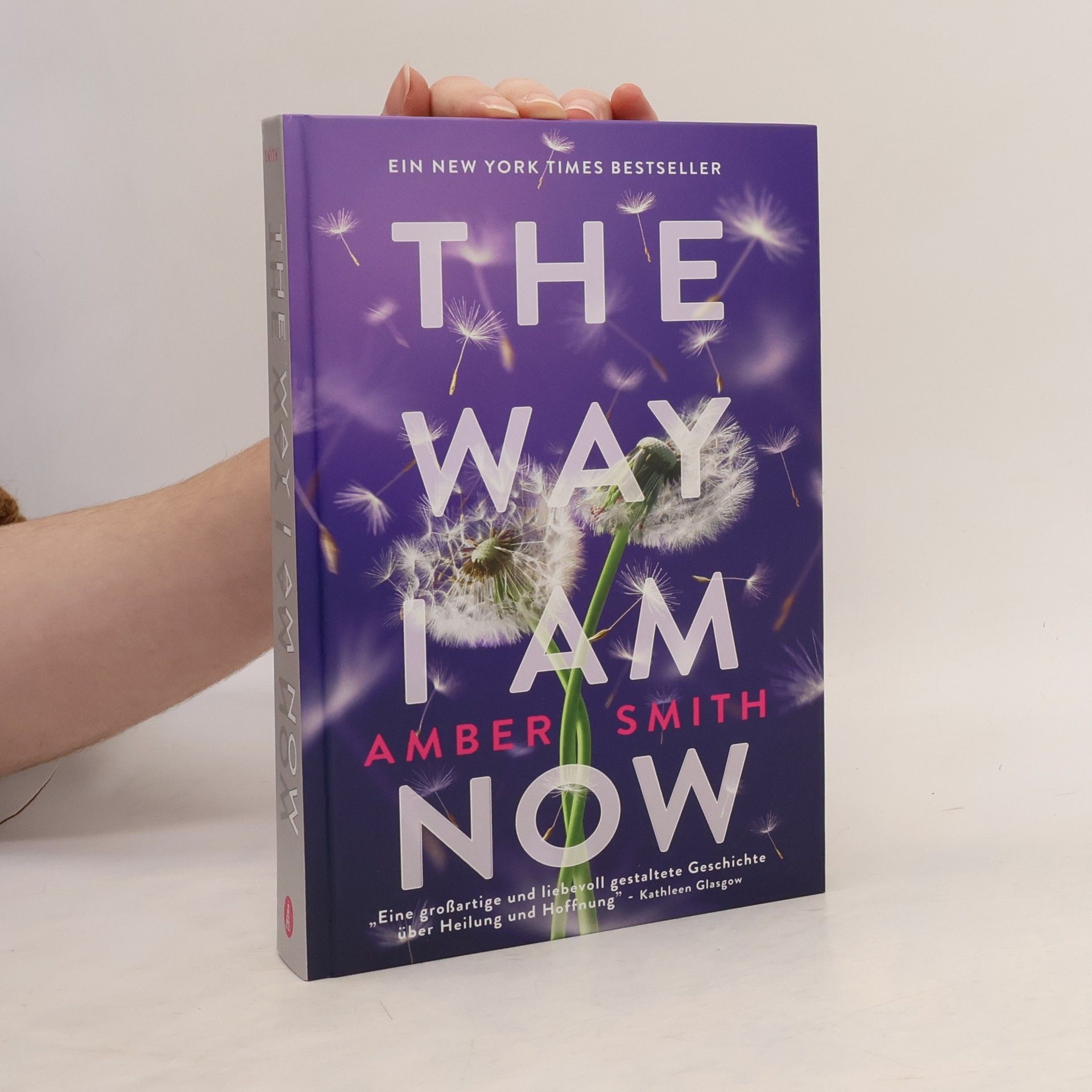 Amber Smith The Way I am Now