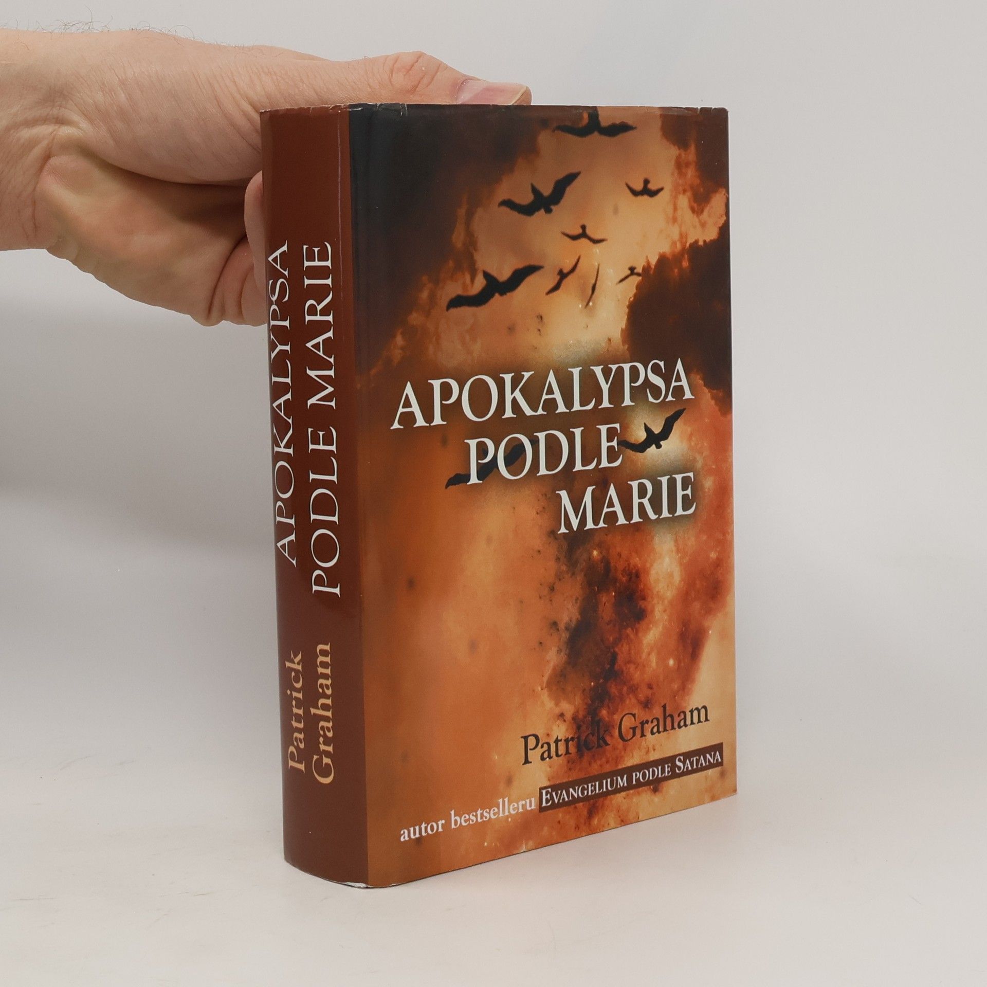 Patrick Graham Apokalypsa podle Marie