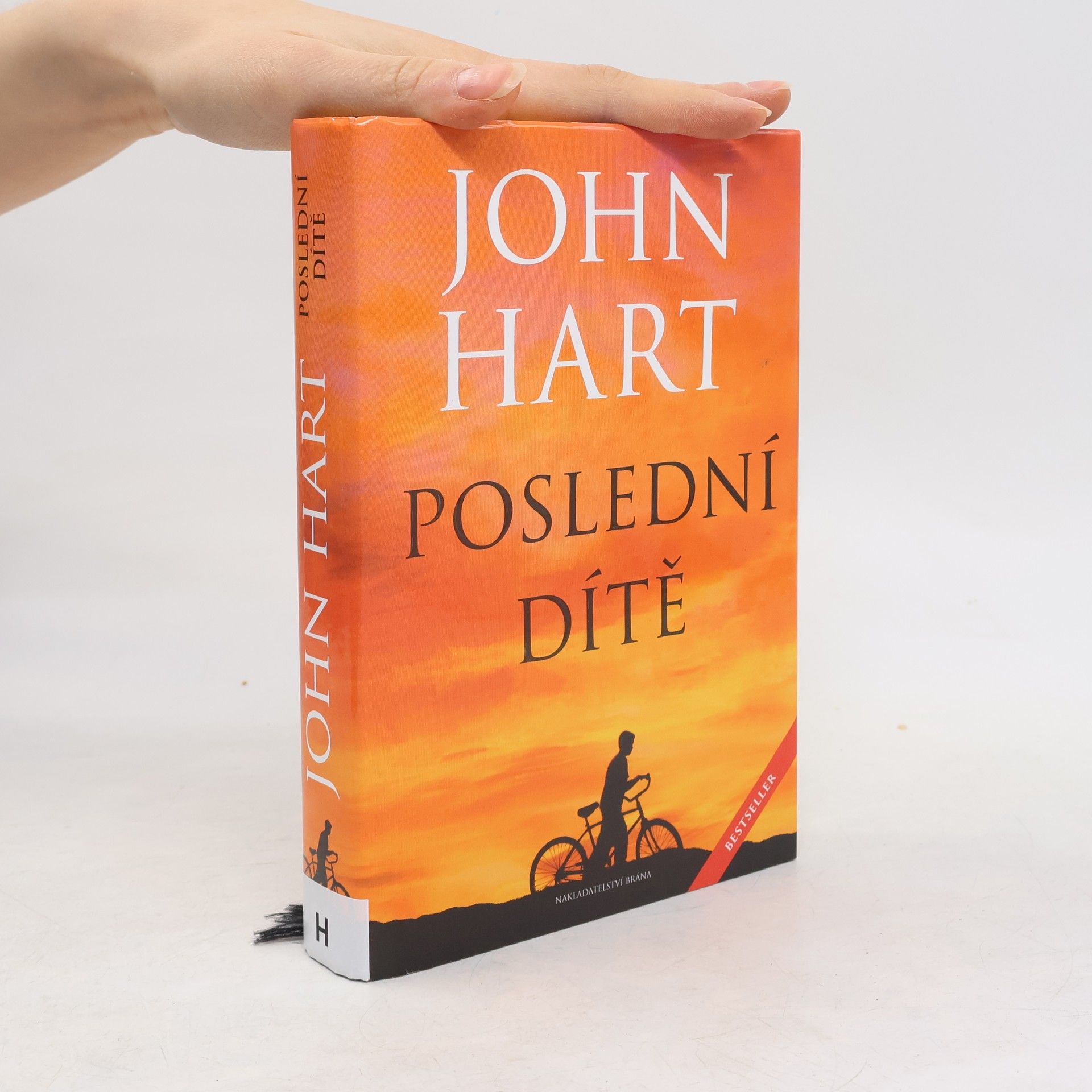 John Hart Poslední dítě