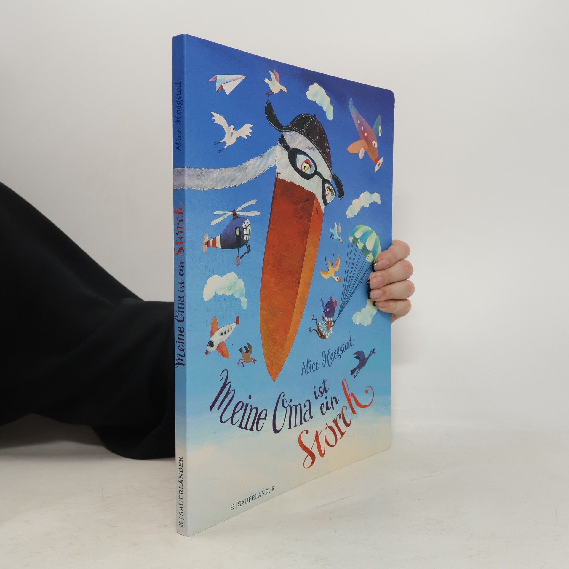 Alice Hoogstad Meine Oma ist ein Storch