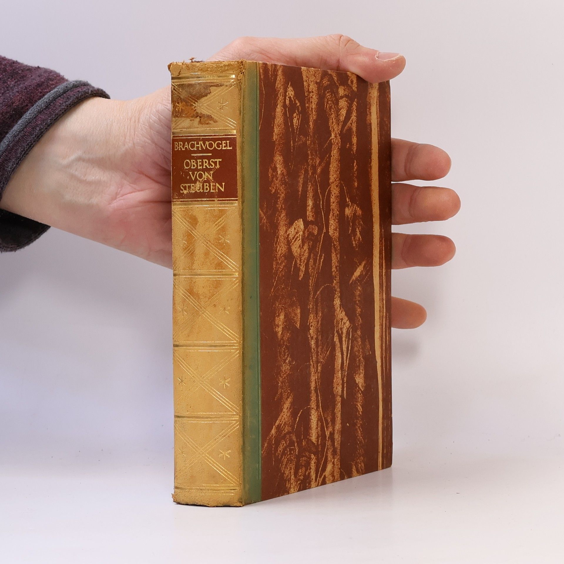 Albert Emil Brachvogel Oberst von Steuben des grossen Königs Adjutant