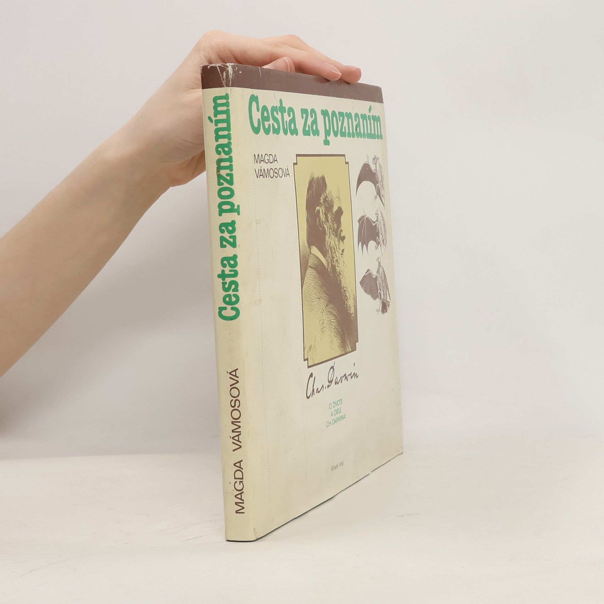 Magda Vámos Cesta za poznáním