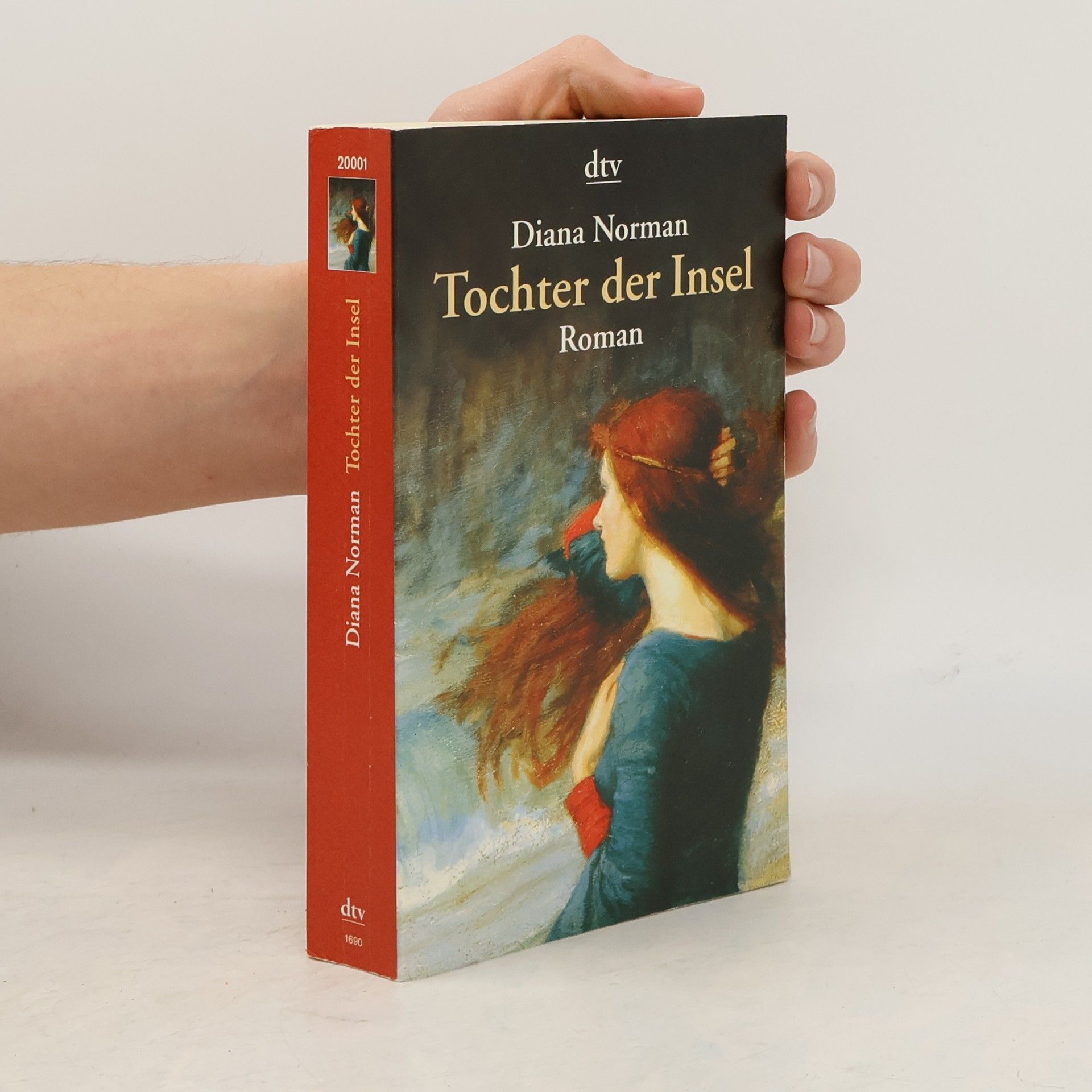 Diana Norman Tochter der Insel