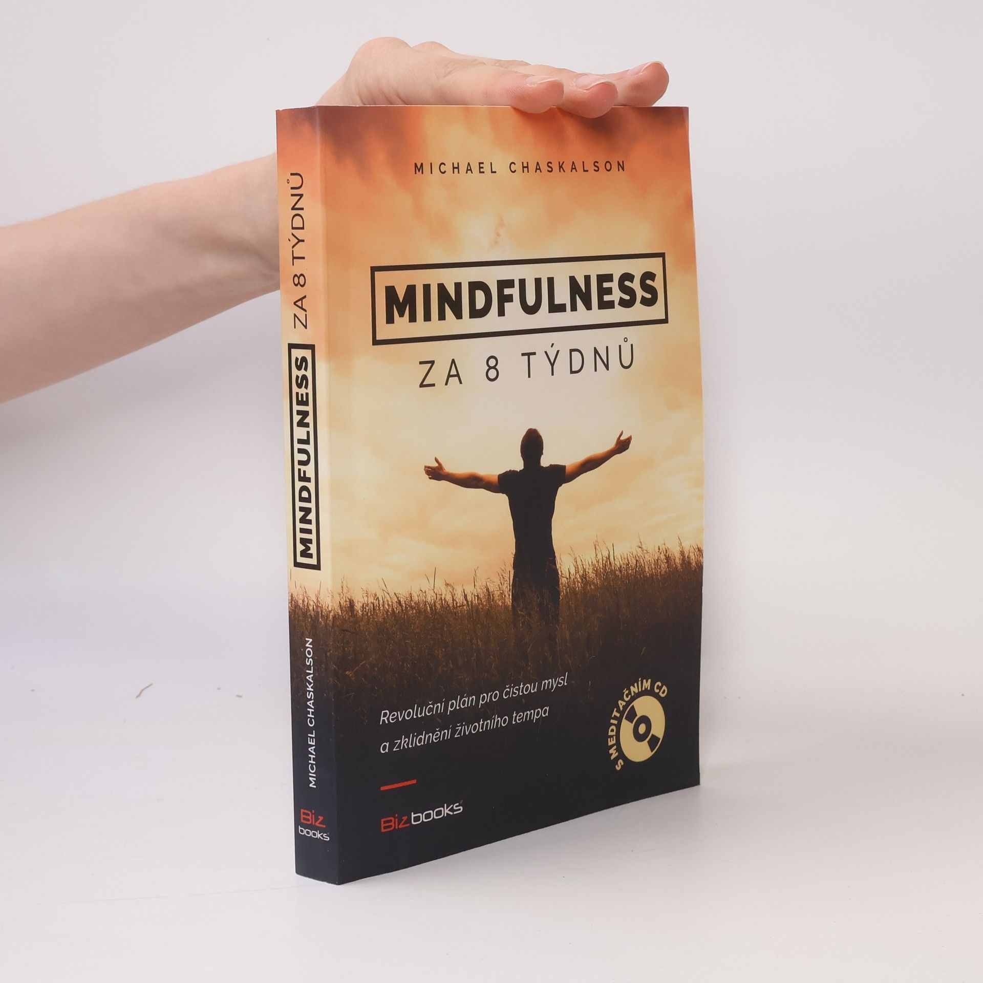 Mindfulness za 8 týdnů. Revoluční plán pro čistou mysl a zklidnění životního tempa