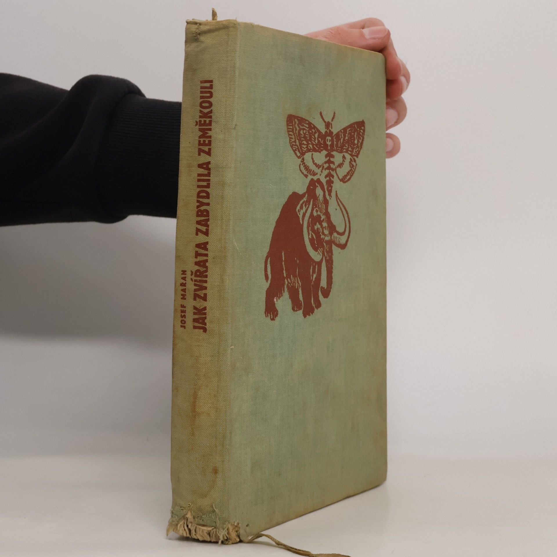 Josef Mařan Jak zvířata zabydlila zeměkouli