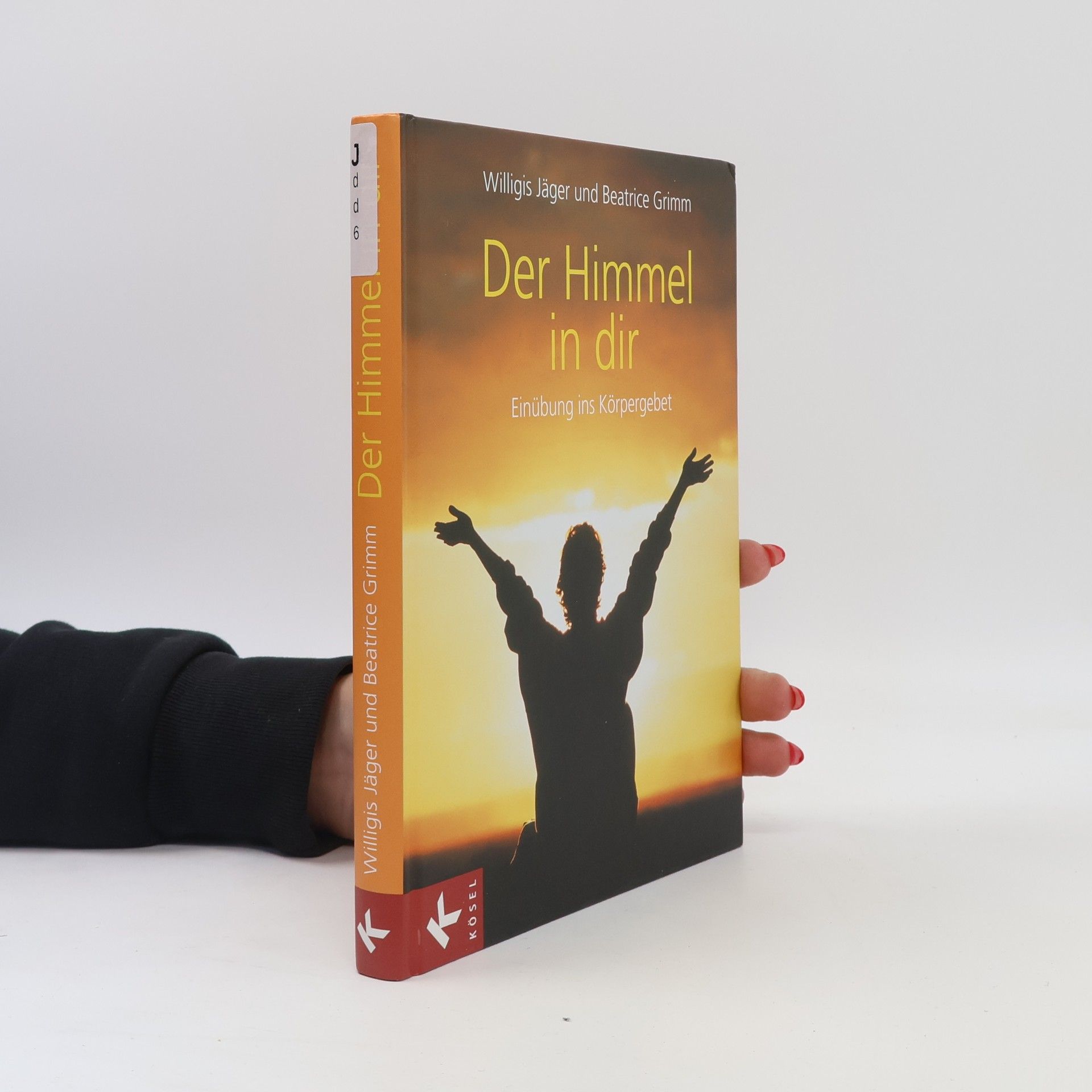 Willigis Jäger Der Himmel in dir