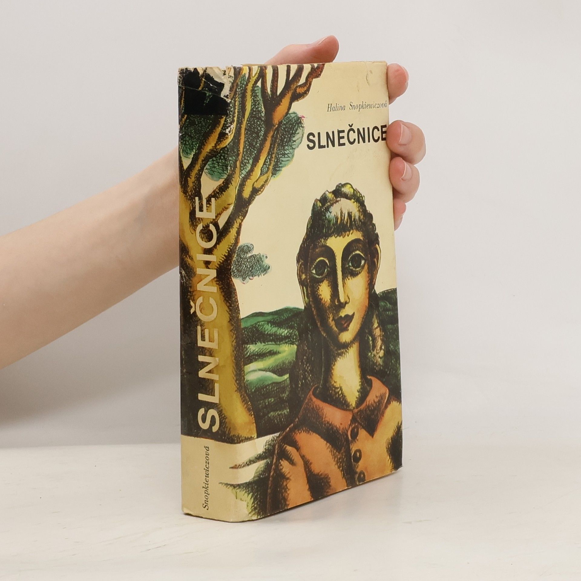 Halina Snopkiewicz Slnečnice