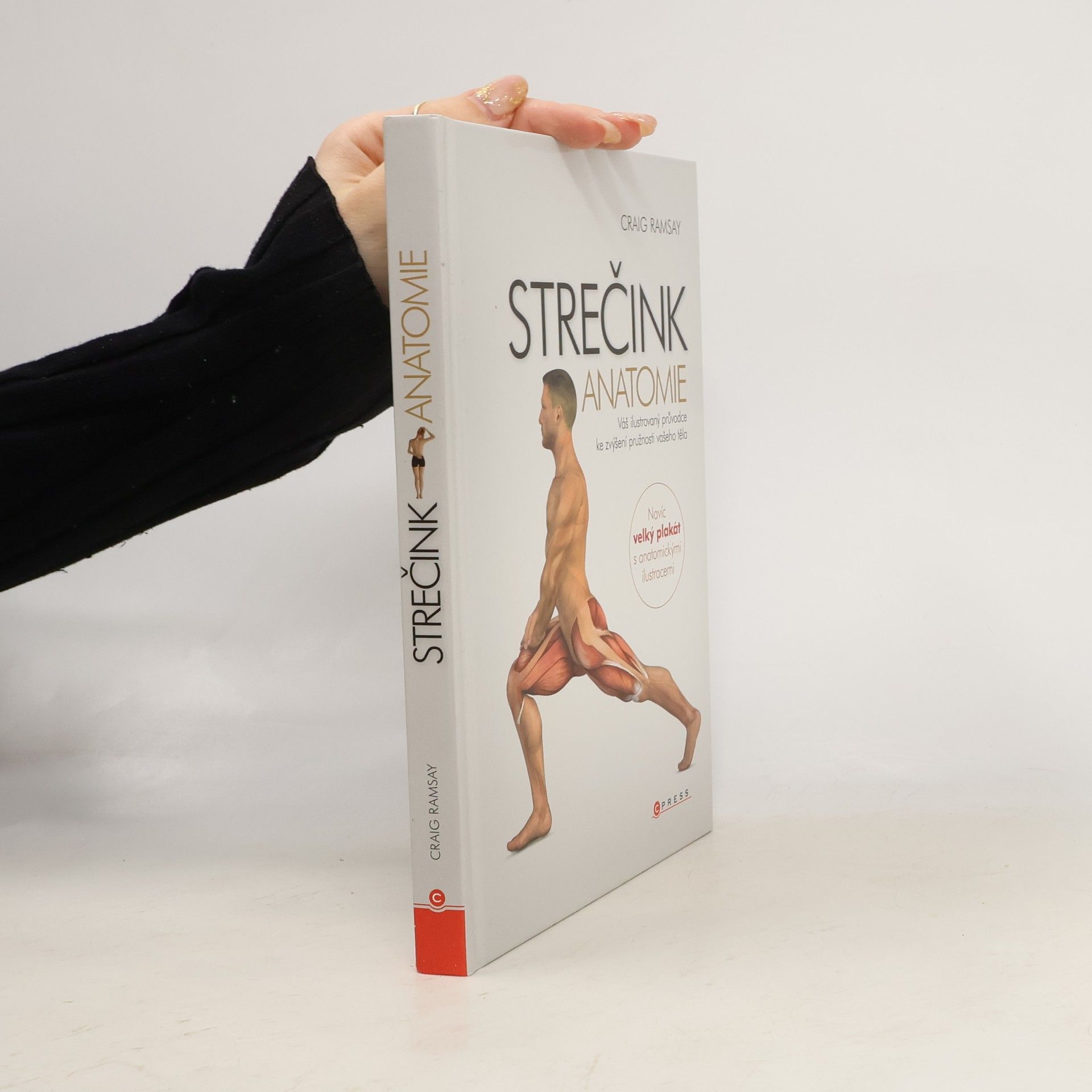 Craig Ramsay Strečink - anatomie