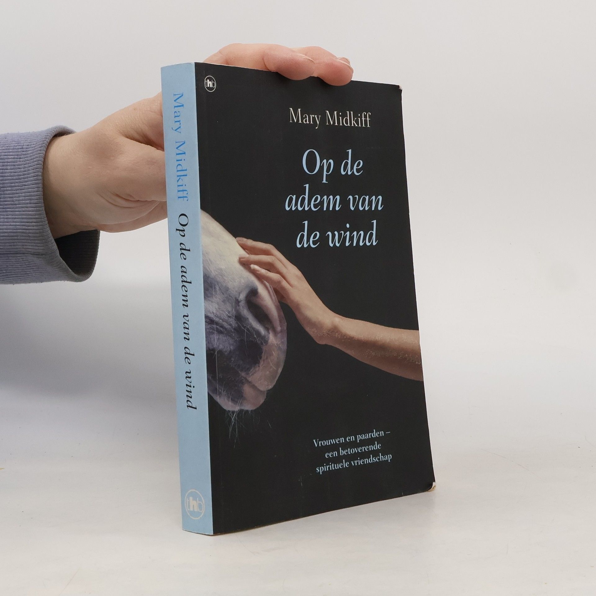 Op de adem van de wind