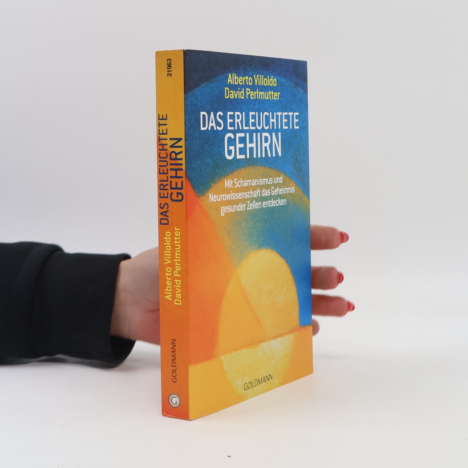 Alberto Villoldo Das erleuchtete Gehirn