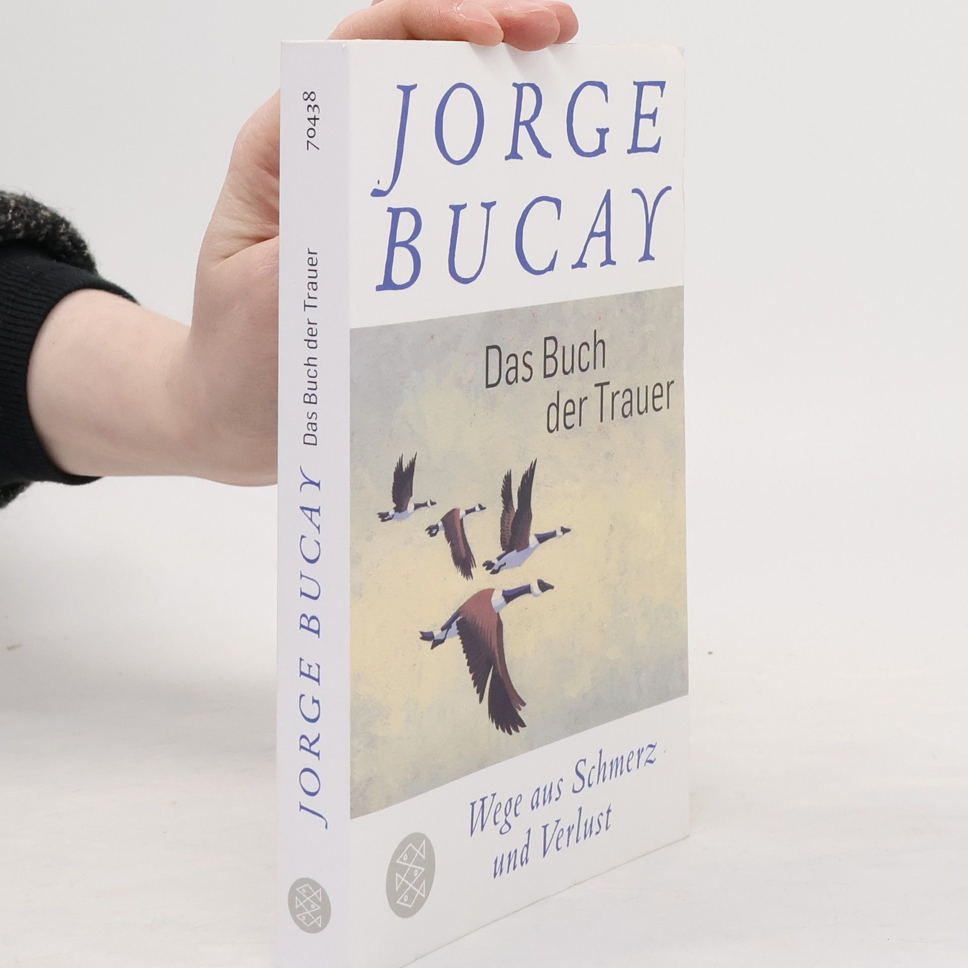 Jorge Bucay Das Buch der Trauer
