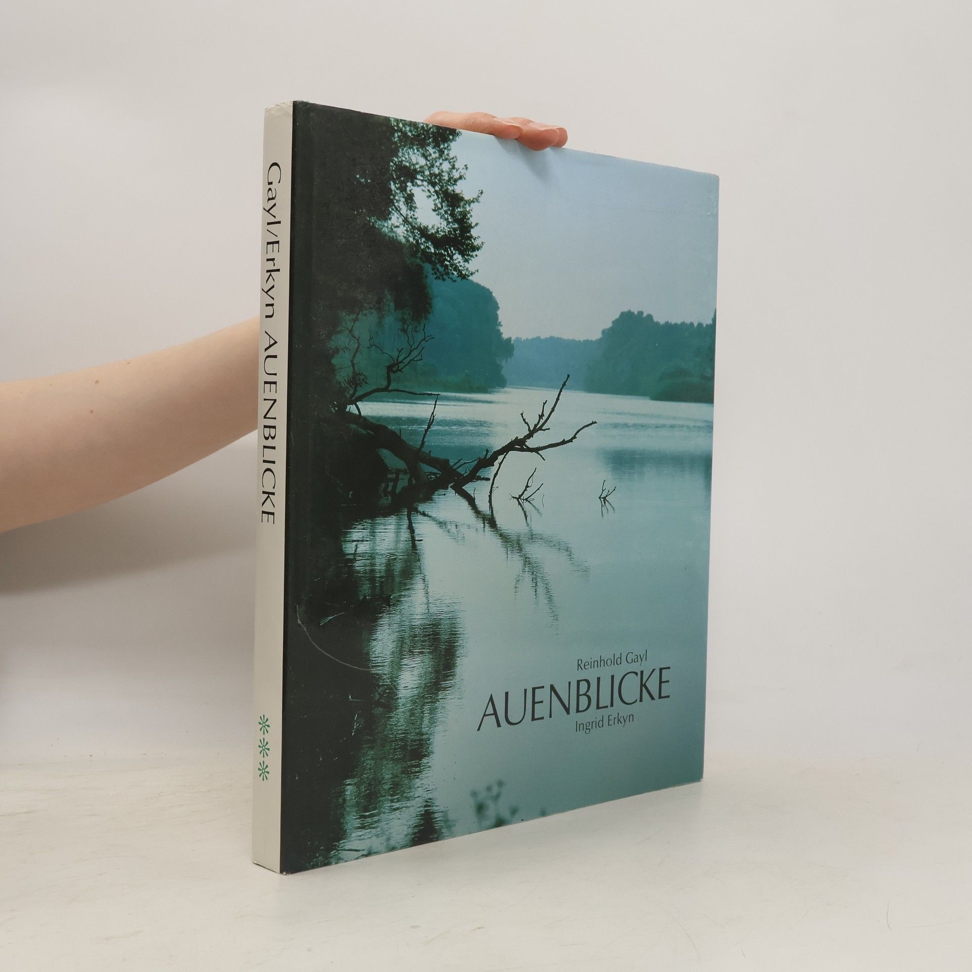 Reinhold Gayl Auenblicke