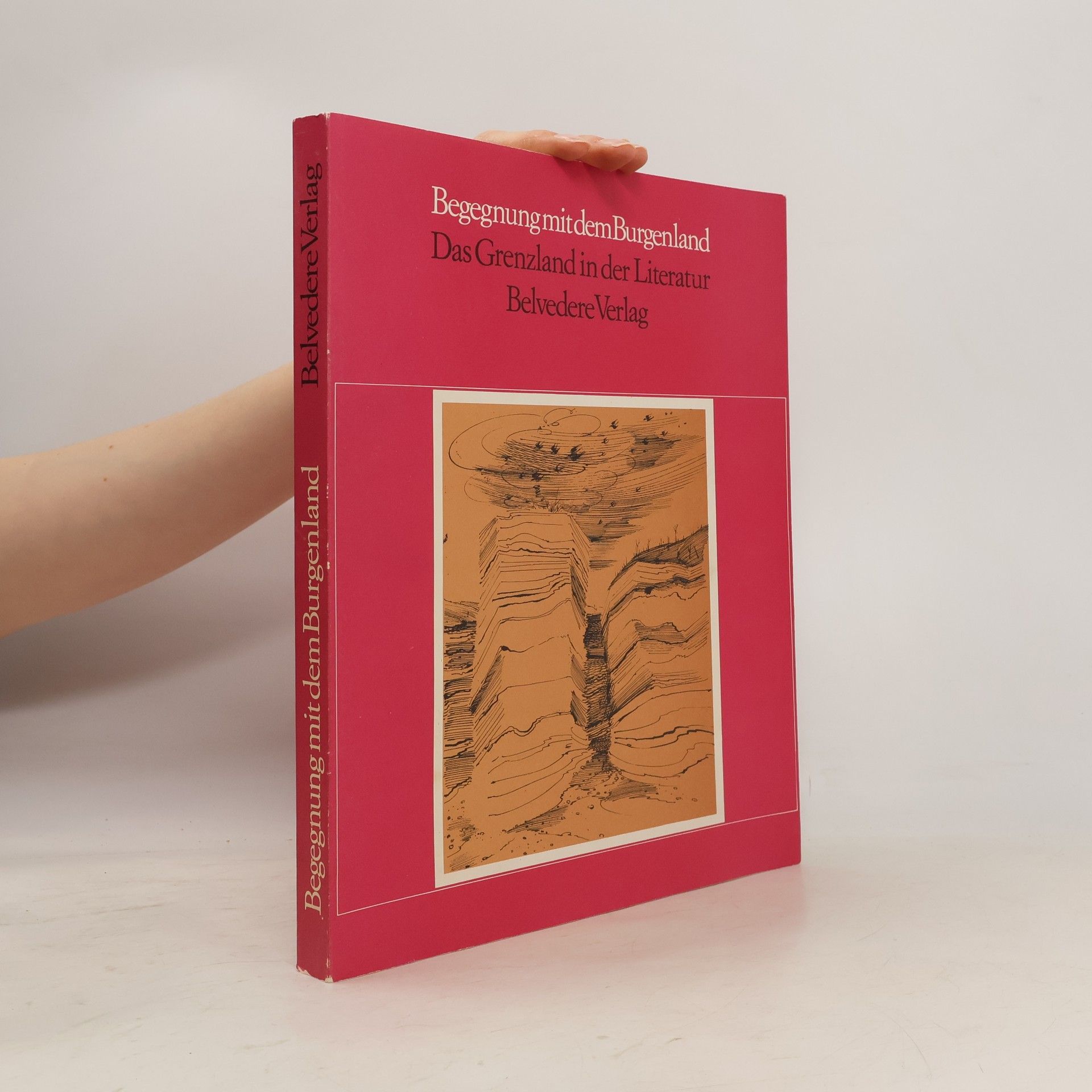 Kolektív autorov Begegnung mit dem Burgenland. Das Grenzland in der Literatur